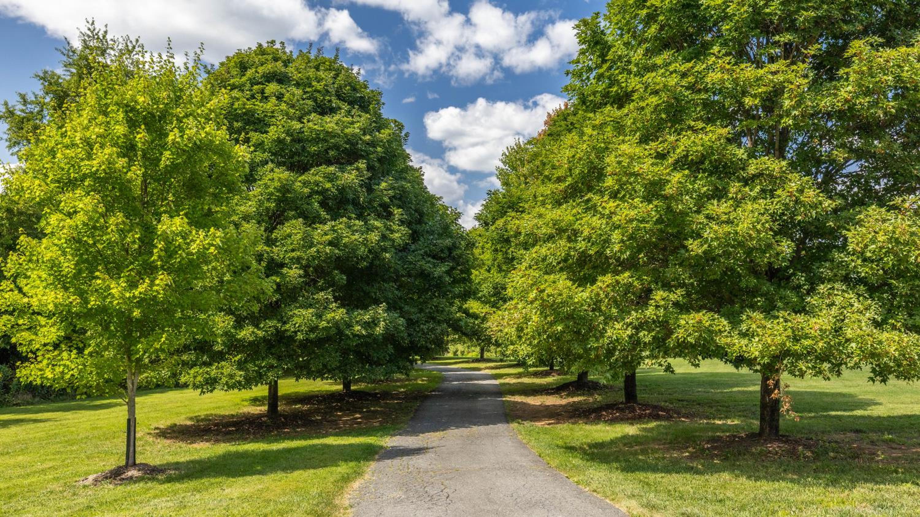 Luxury 15 acre Estate in Historic Purcellville, Virginia - Property Image 23