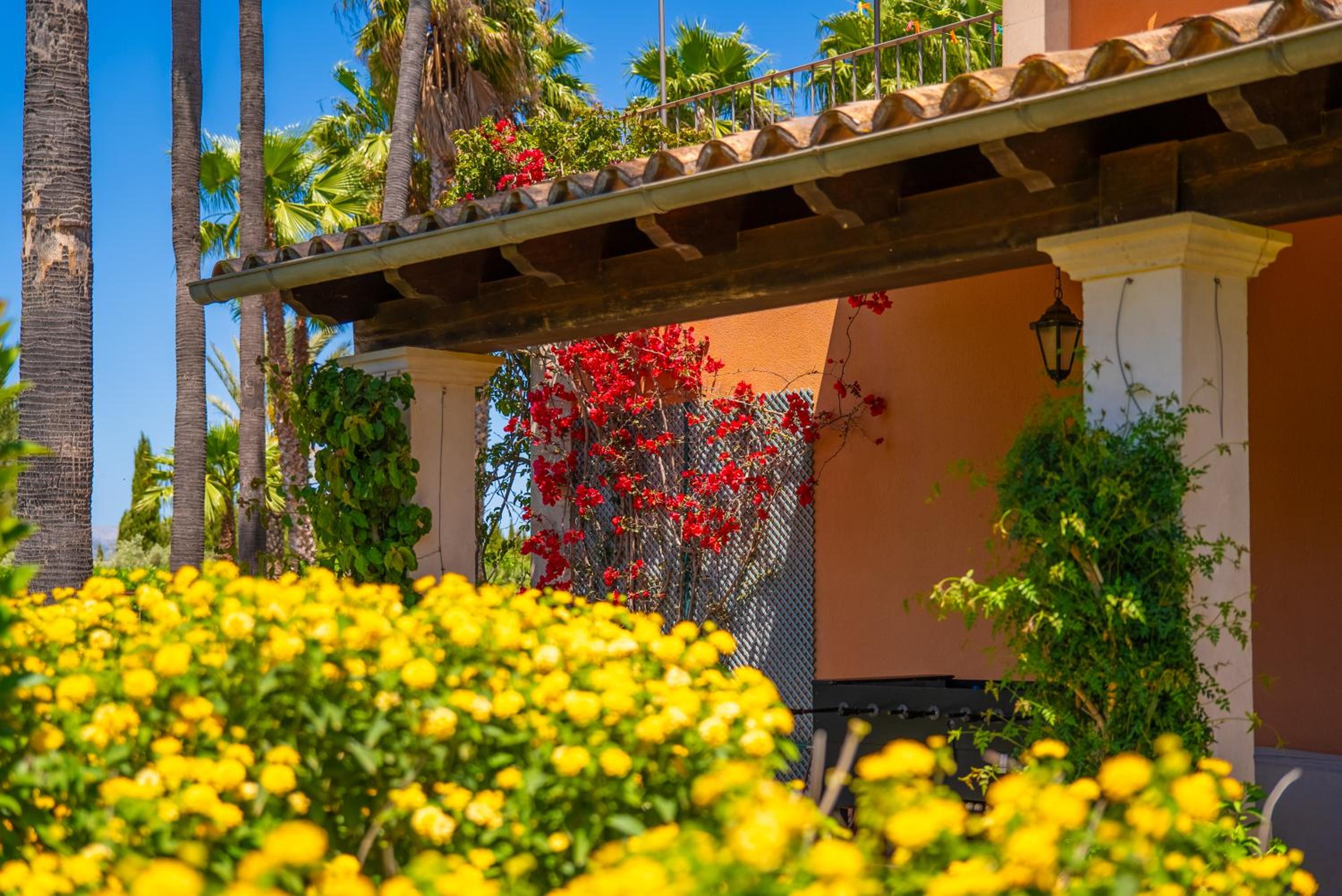 Finca Mil Flores