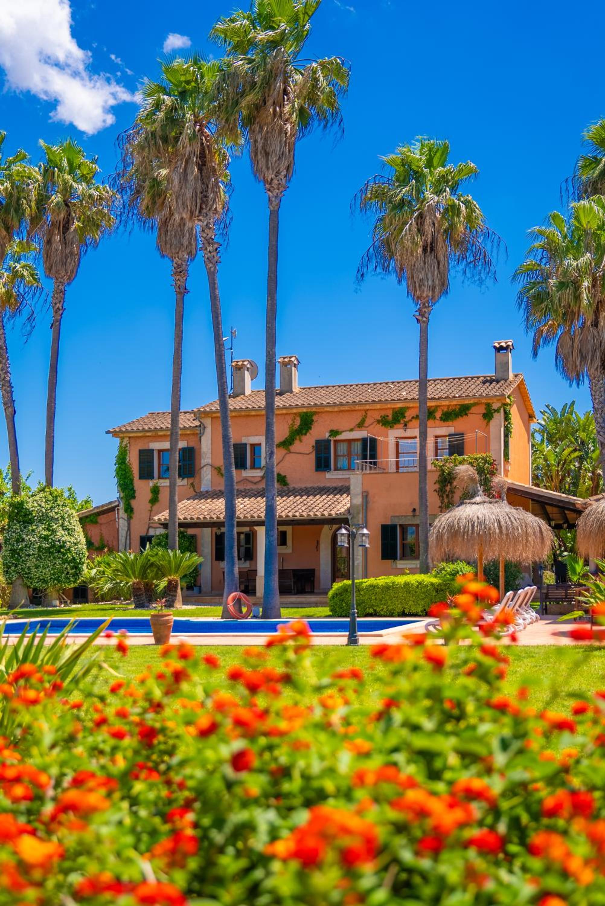 Finca Mil Flores