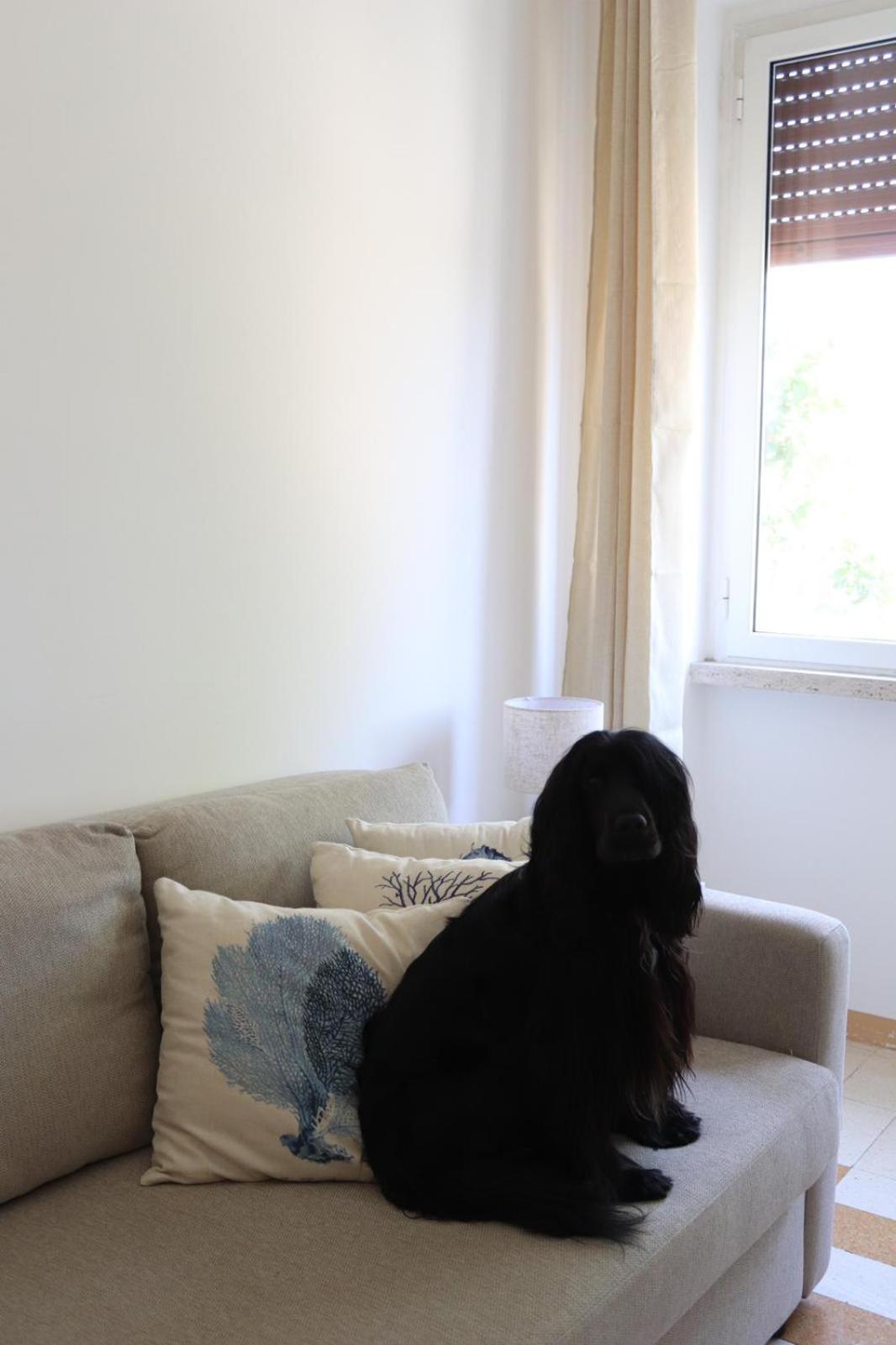 human