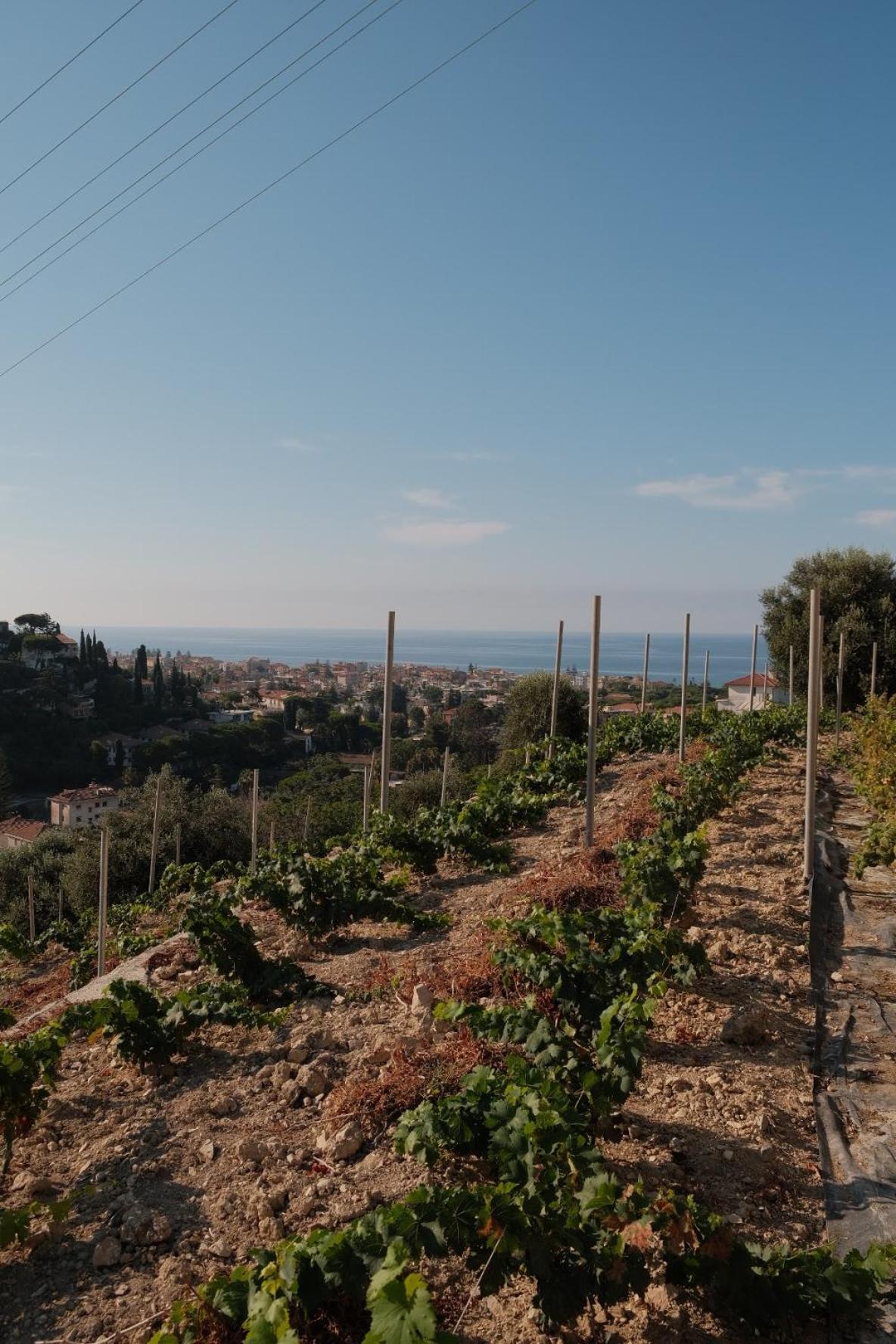 Residenza Villa Genua - Property Image 32