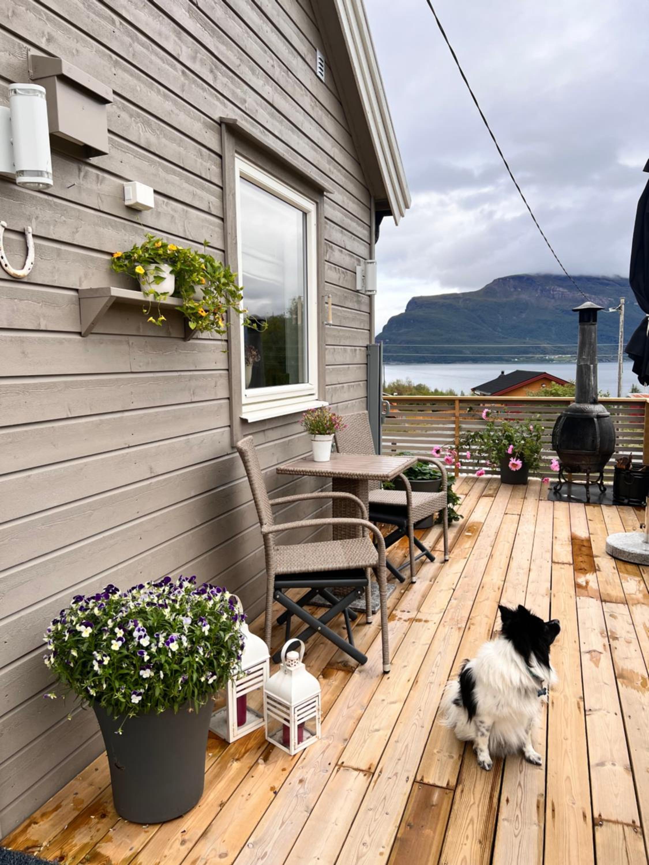 Hytte i Skinnelv, Lyngen view 4