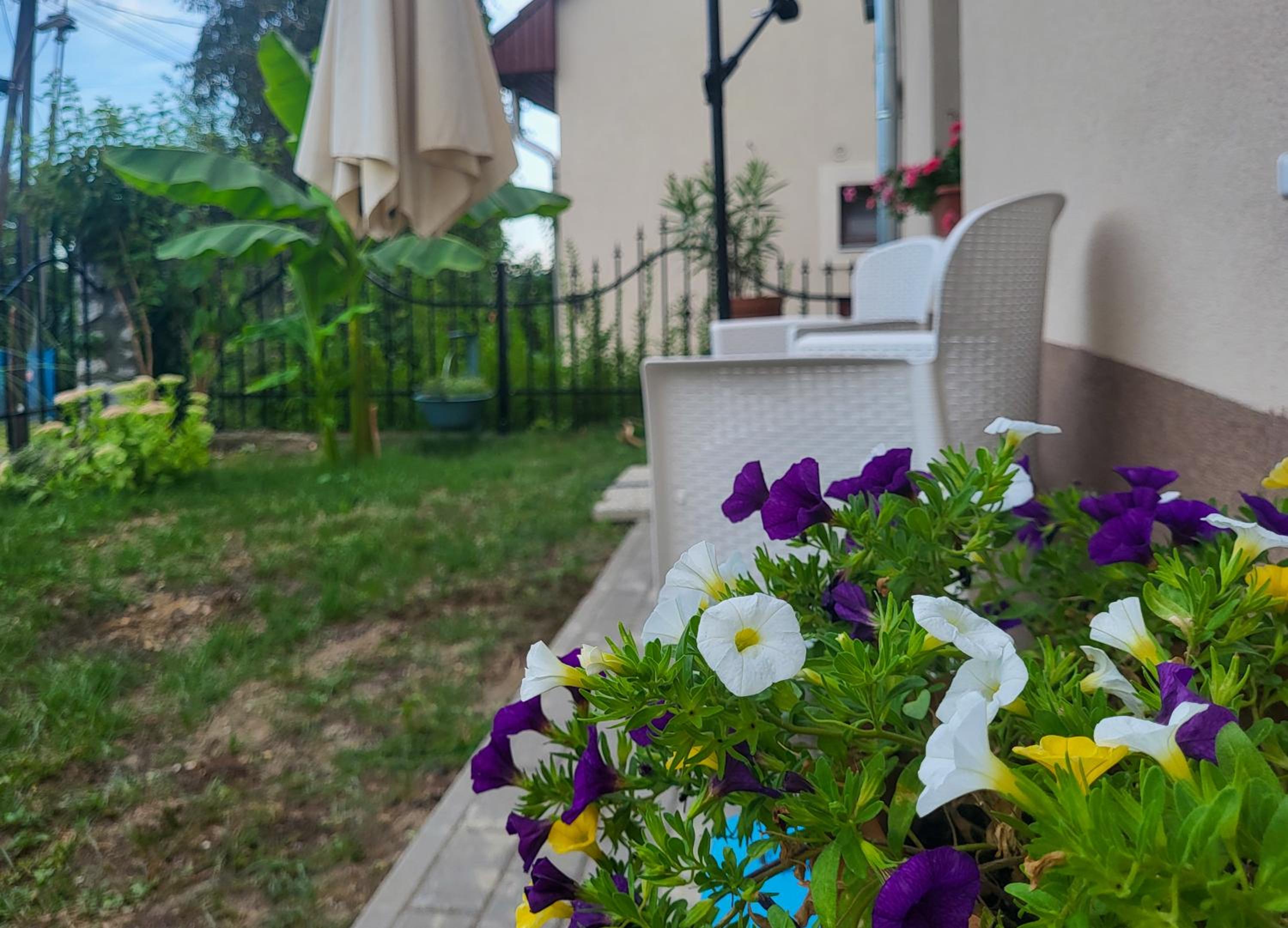 Mi Casa Vendégház - Apartments view 3
