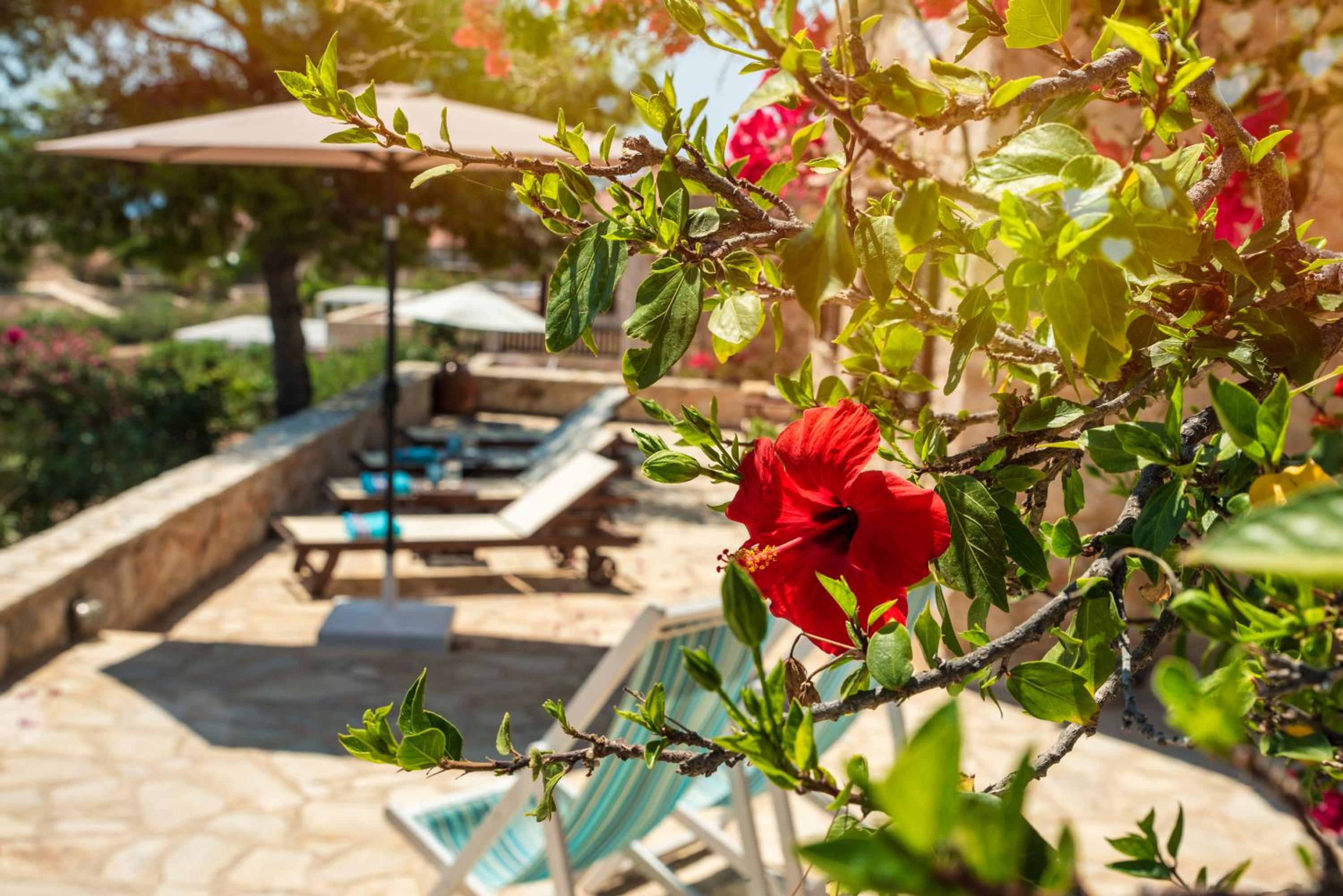 Villa Ftenagia