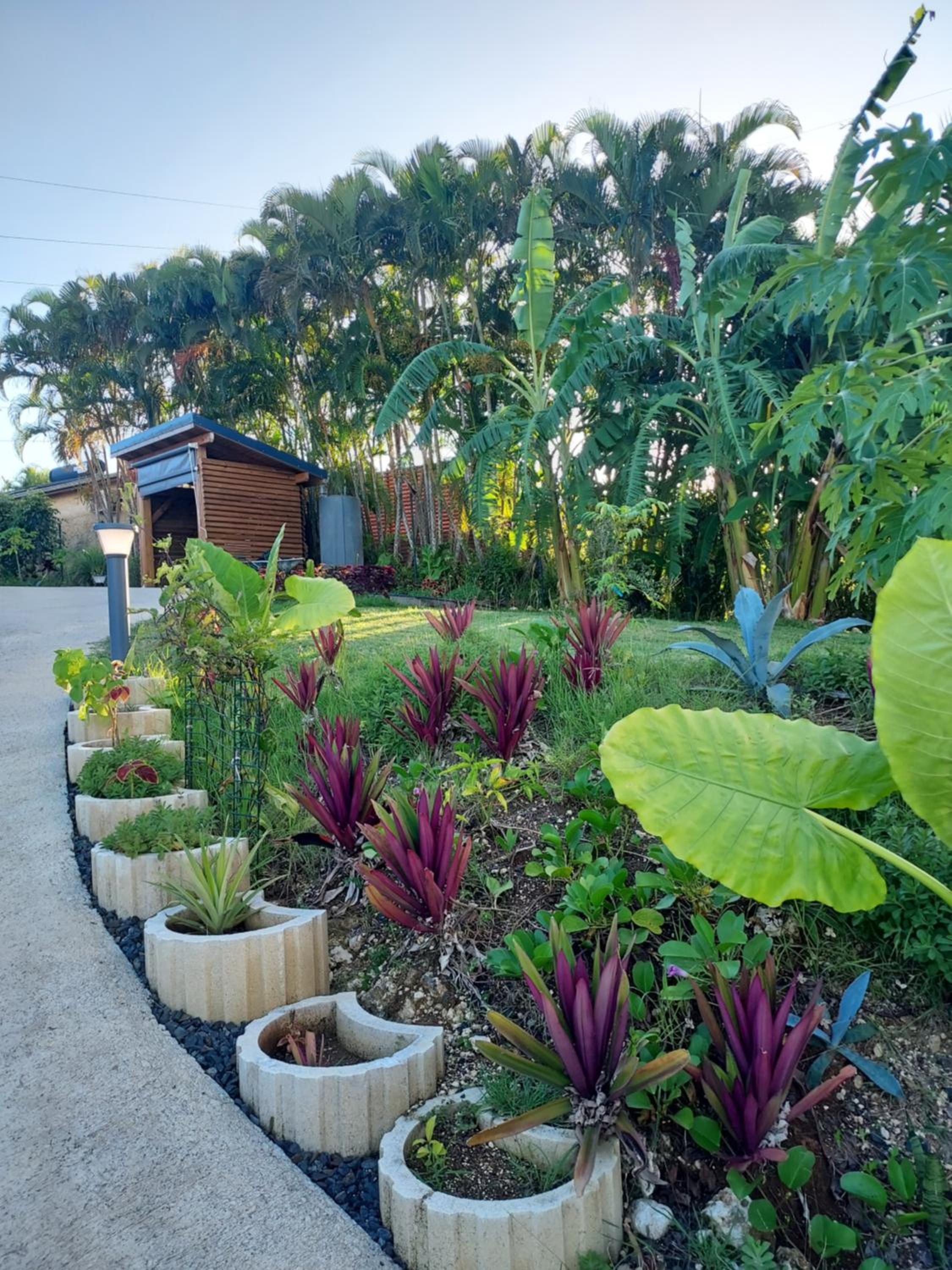 LE PETIT PARADIS view 4