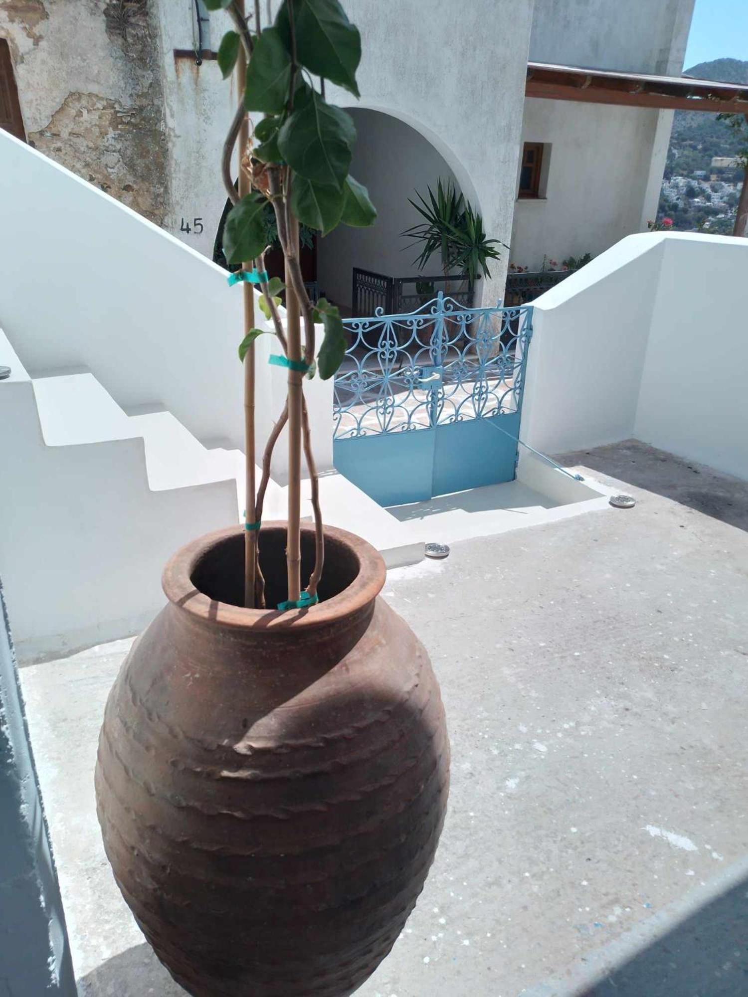 Blue House