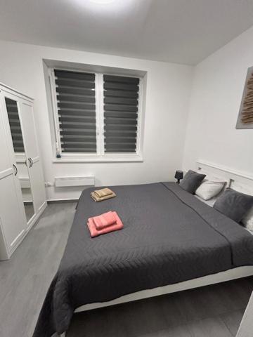 Jana Apartman