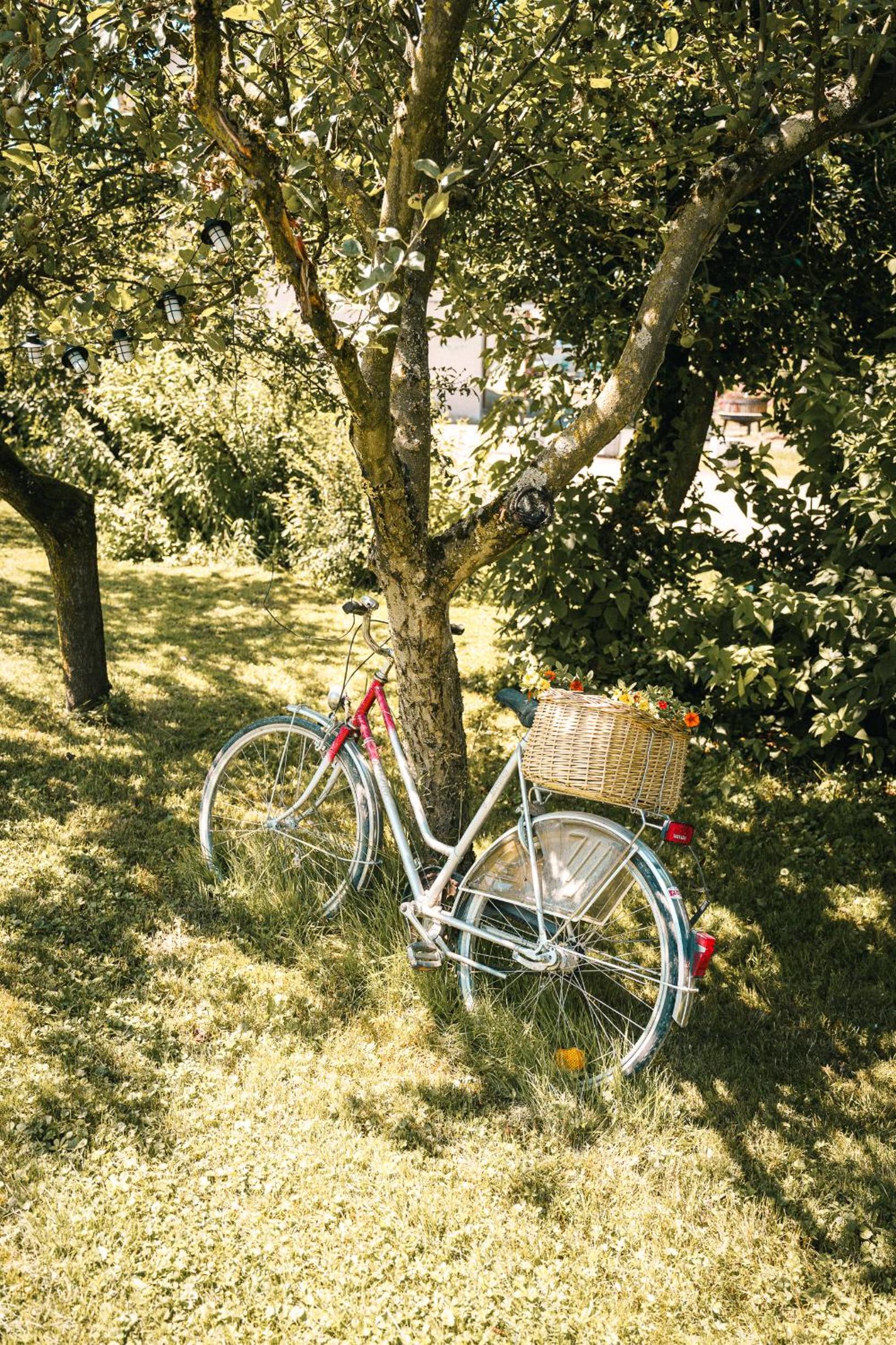 Ferienwohnungen CASA TAMALTIO am Moselradweg - Nähe Trier und Luxemburg