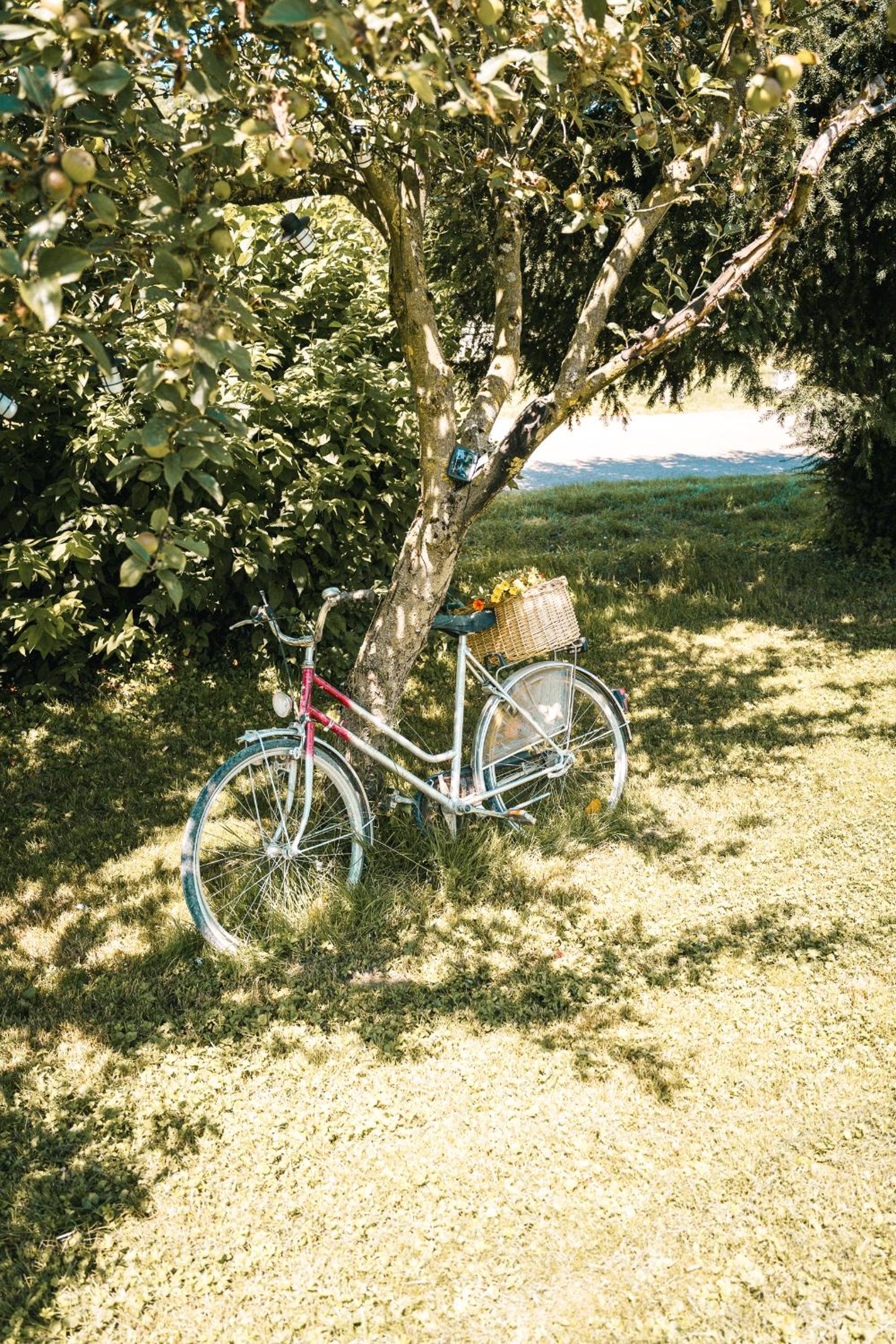Ferienwohnungen CASA TAMALTIO am Moselradweg - Nähe Trier und Luxemburg