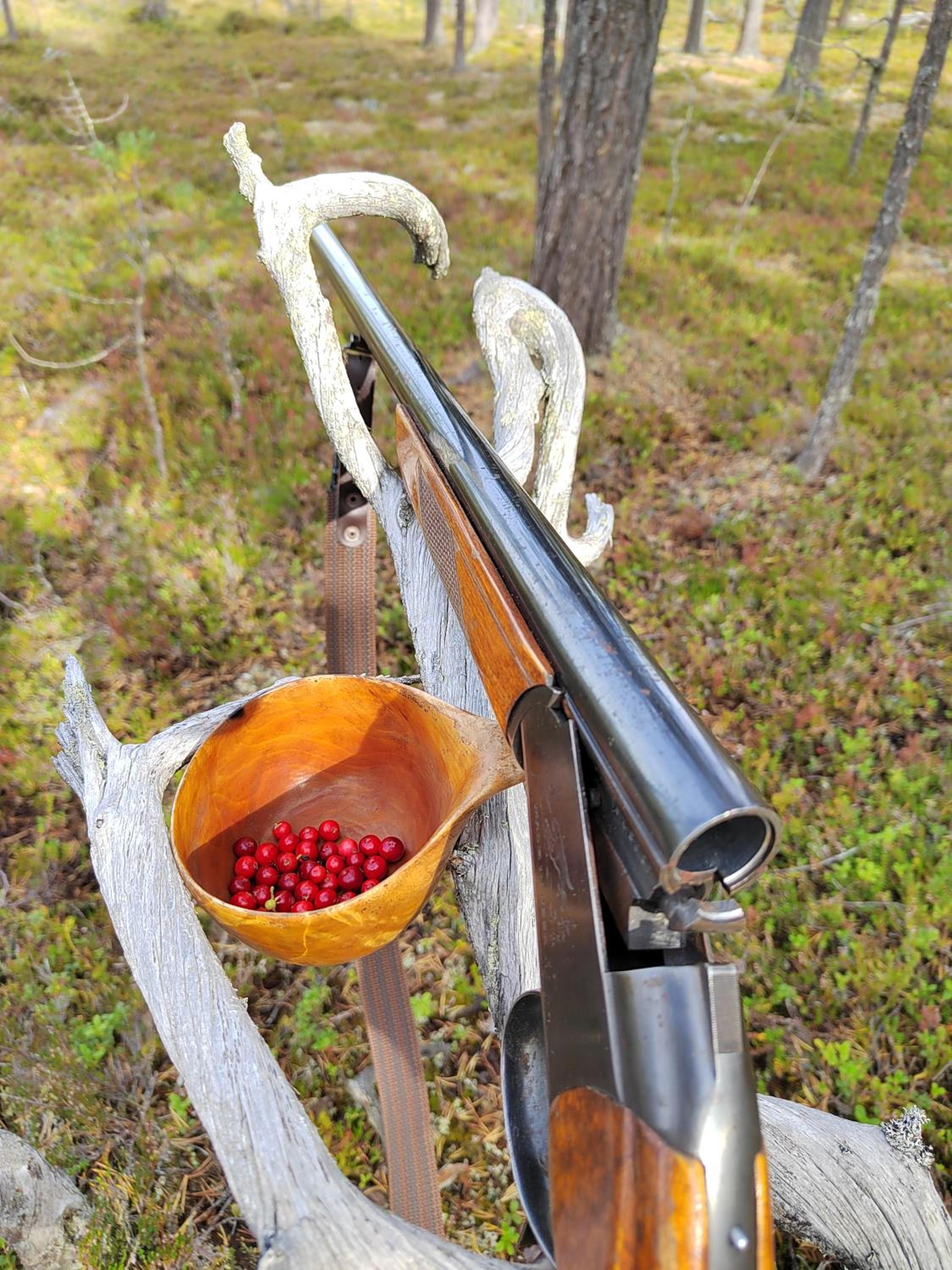 Mummon Mökki