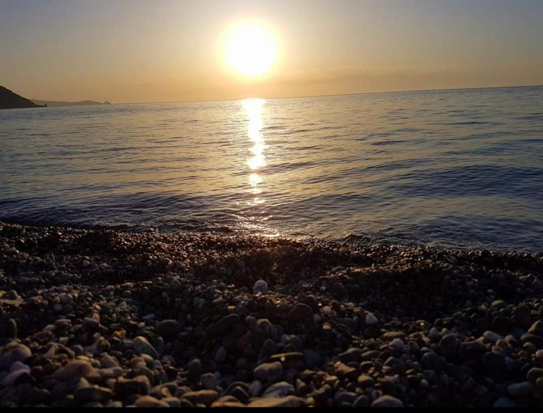 Solemare
