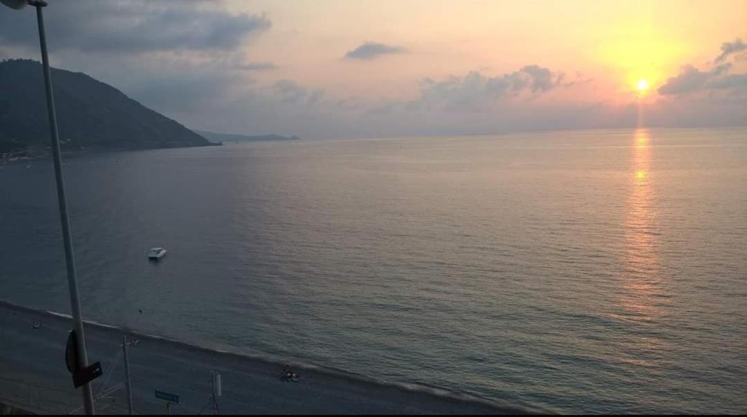 Solemare