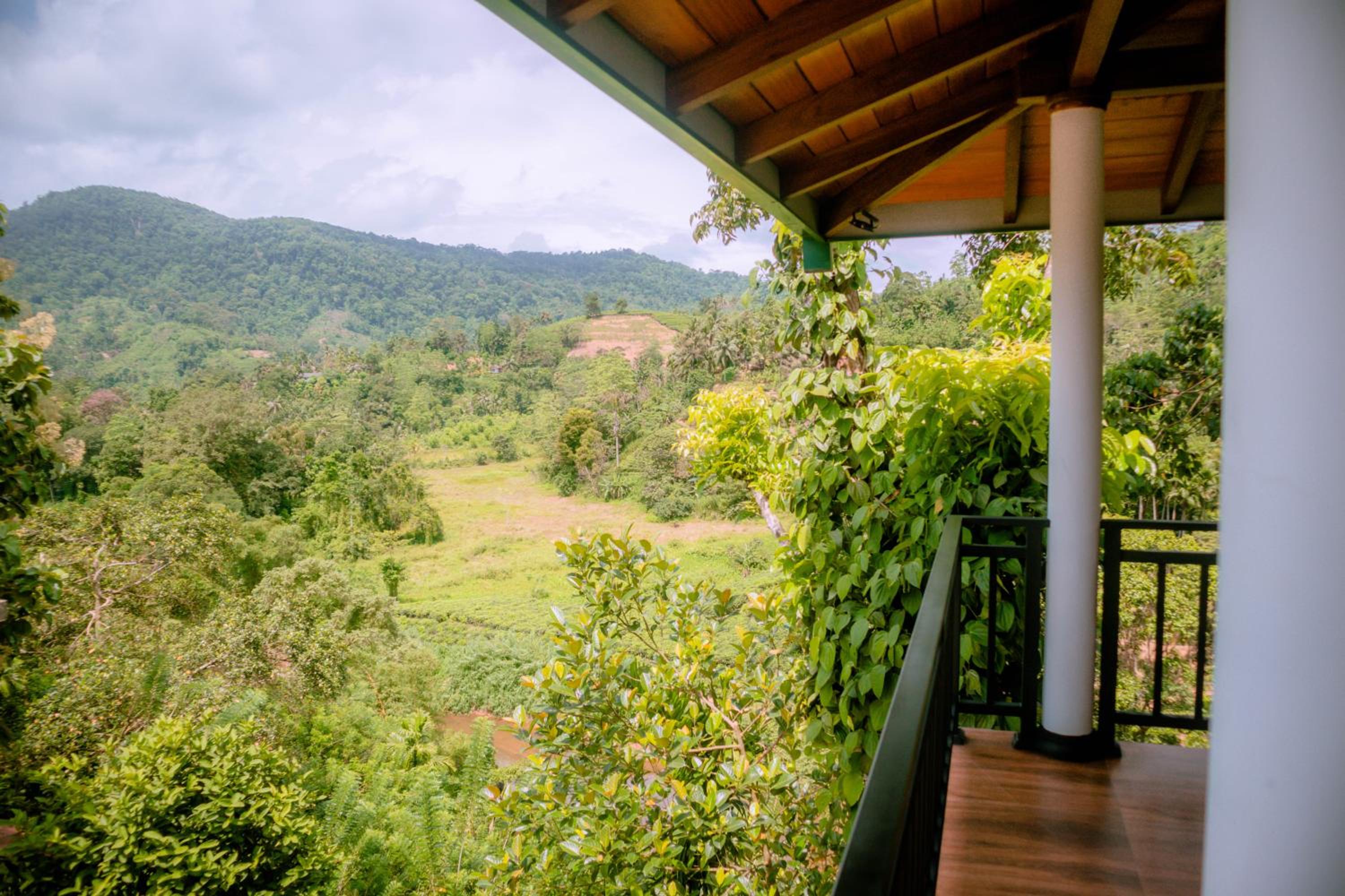 Evergreen Villa - Sinharaja view 3