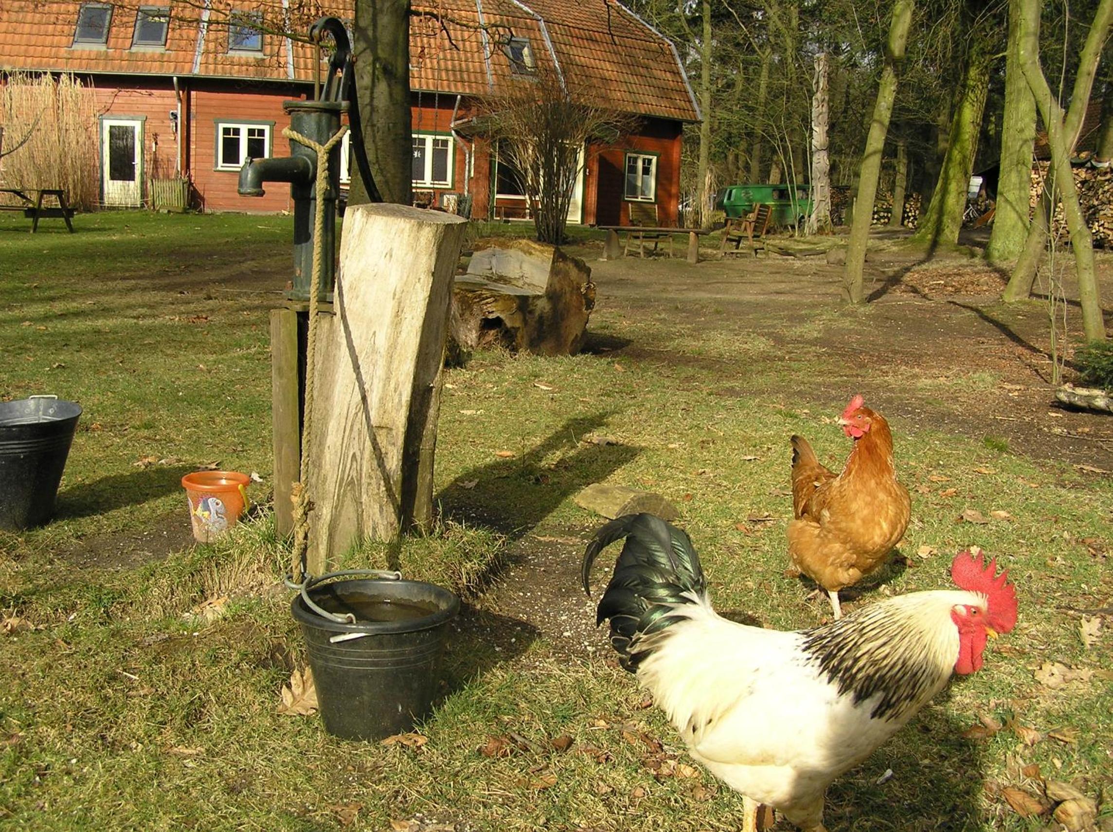 Photo 22