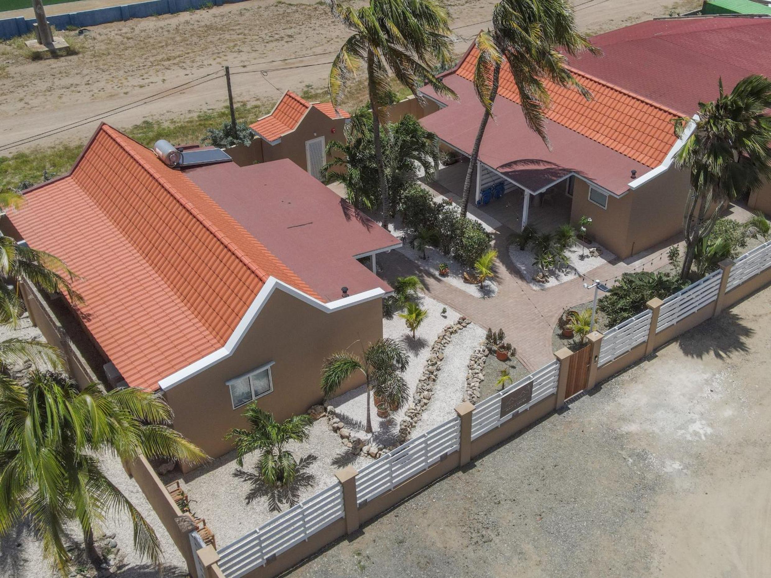 Walt's Aruba