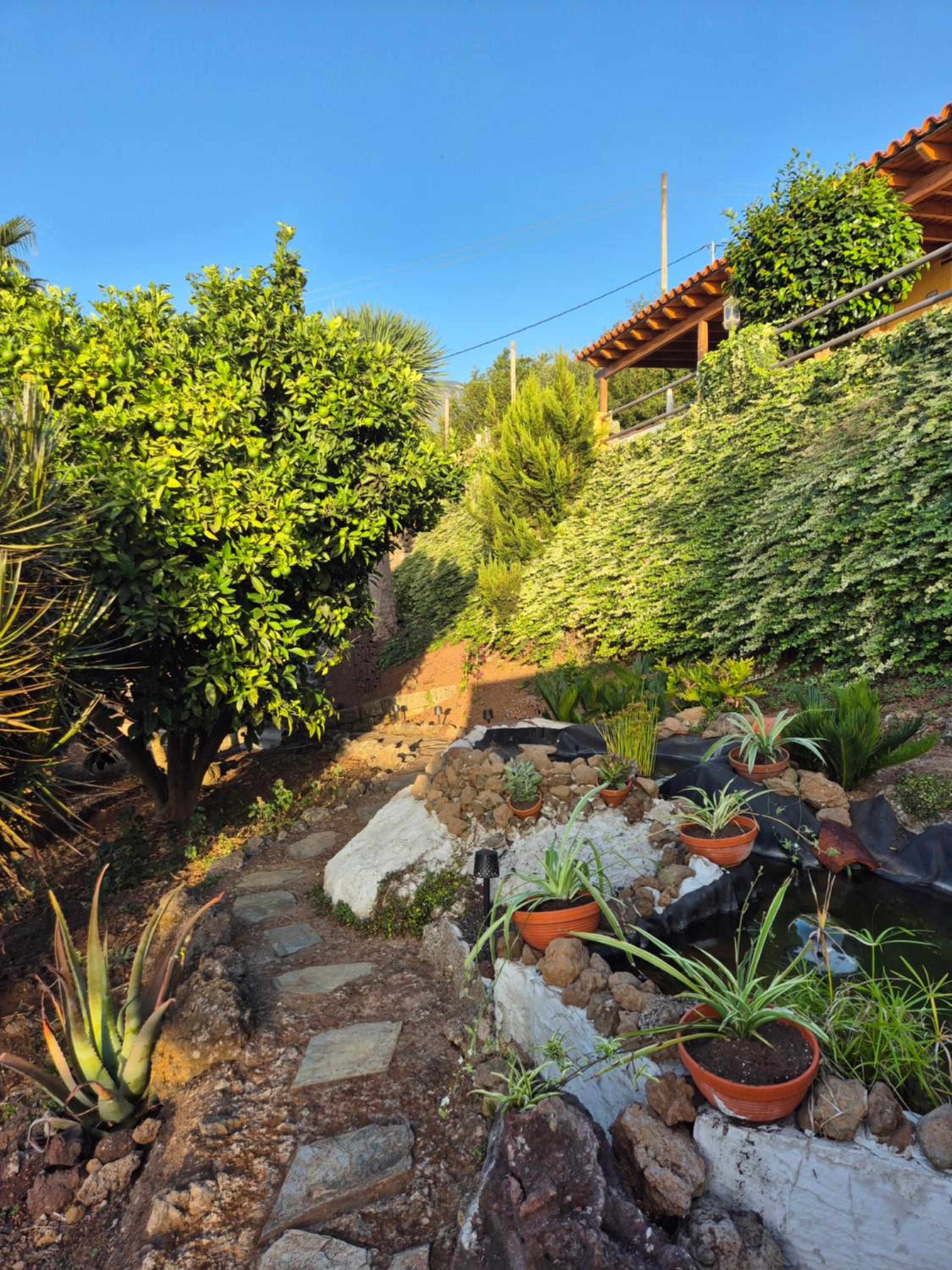 Finca Casa los Dragos
