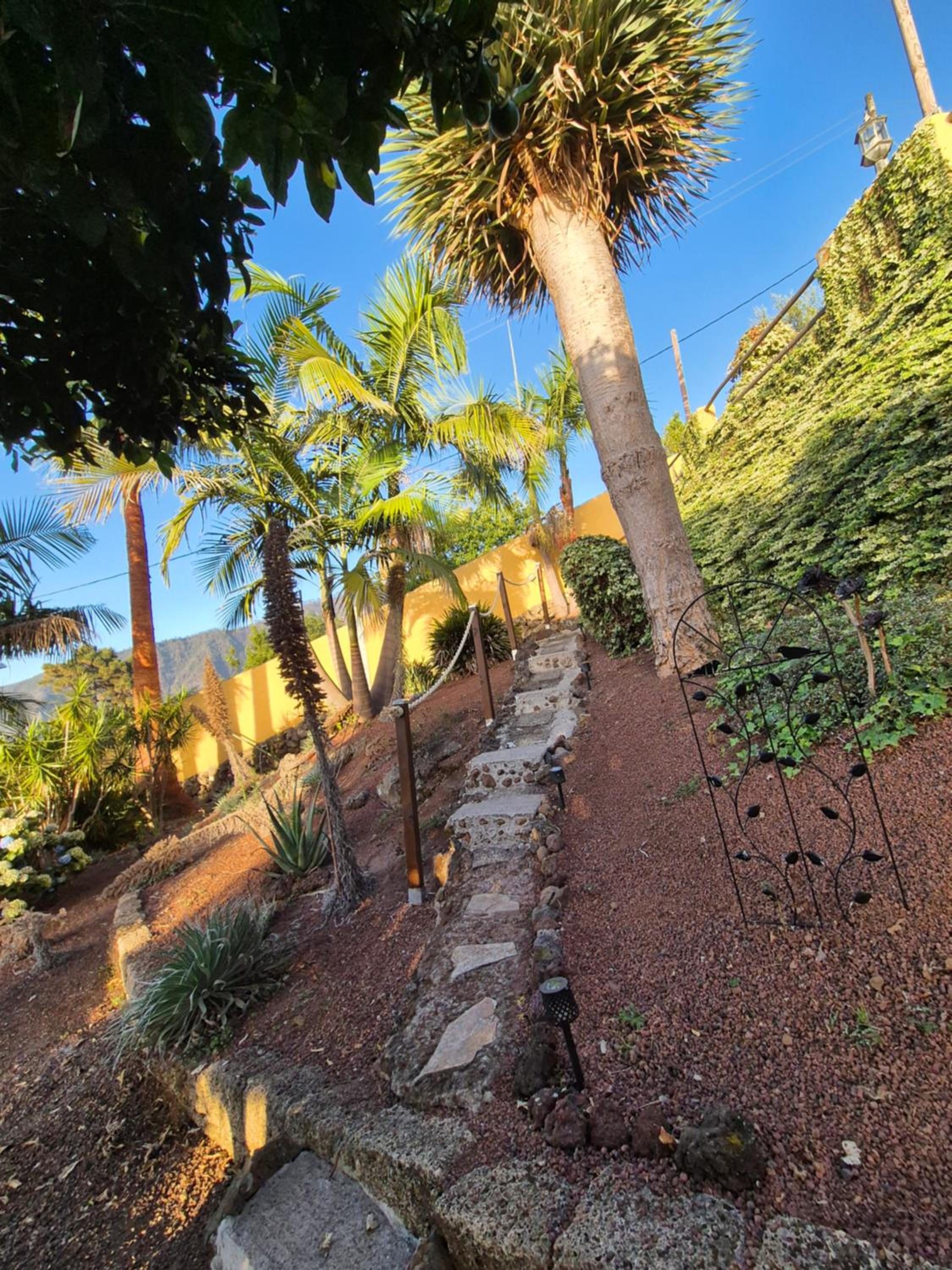 Finca Casa los Dragos