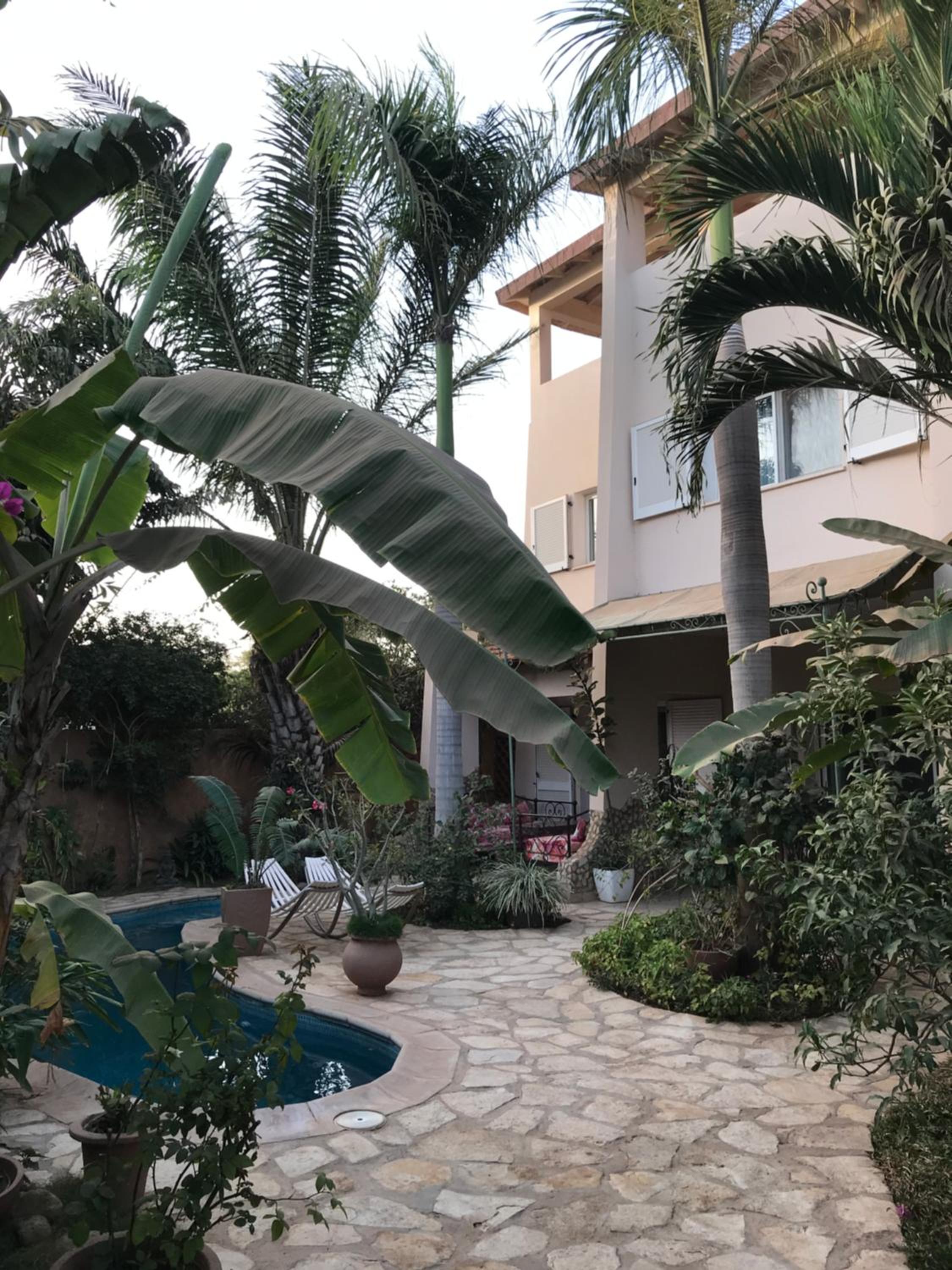 tropical oasis