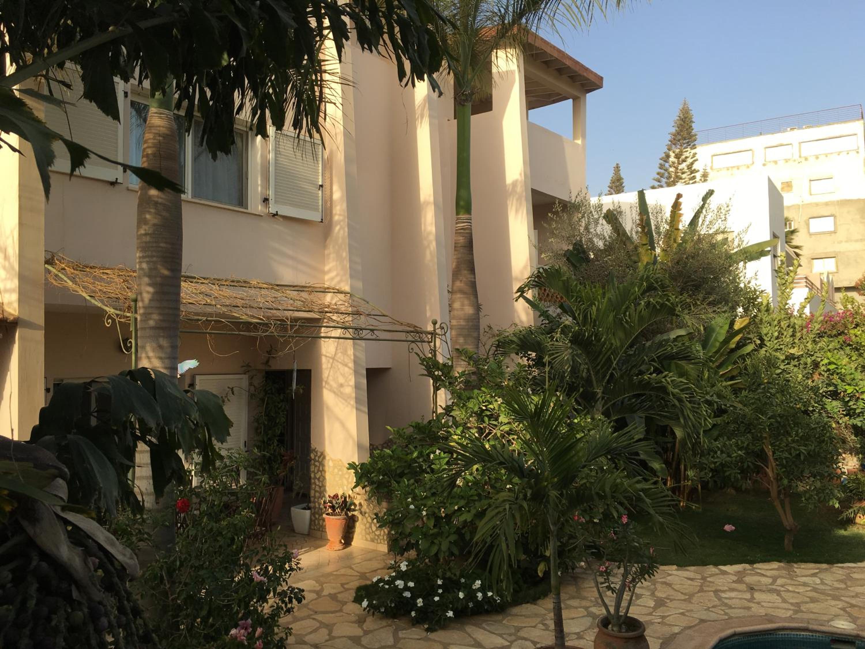 tropical oasis