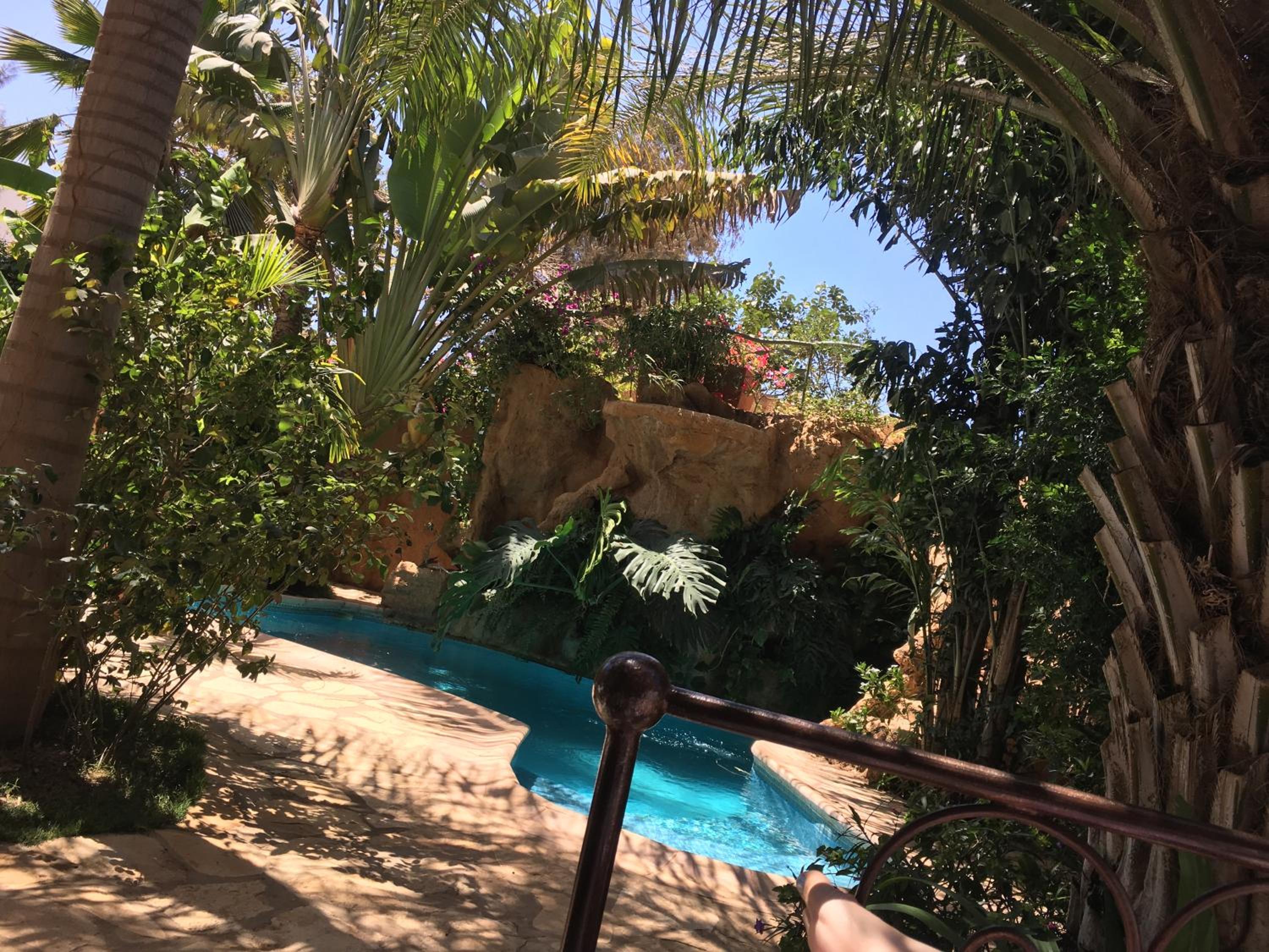 tropical oasis