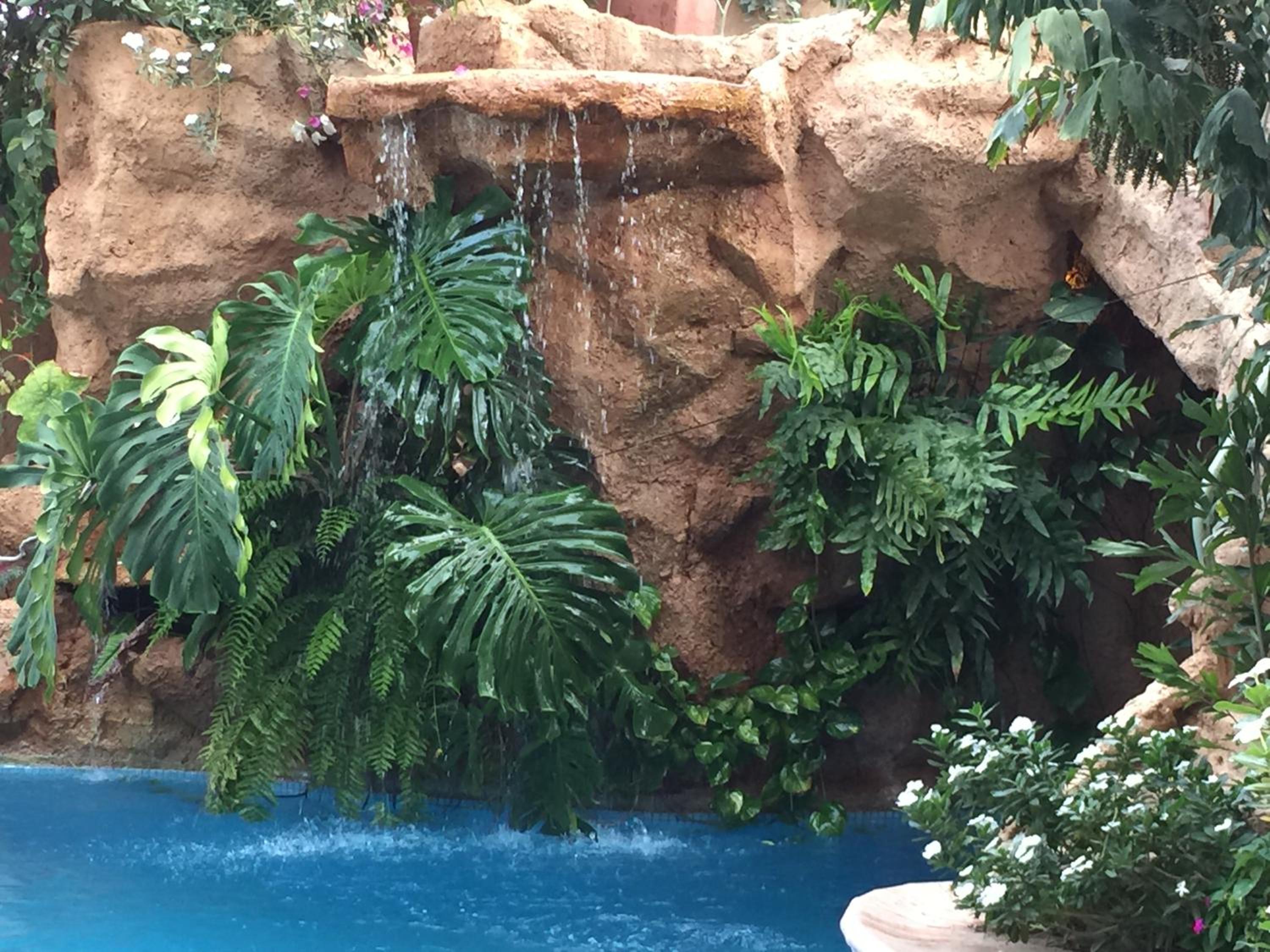 tropical oasis