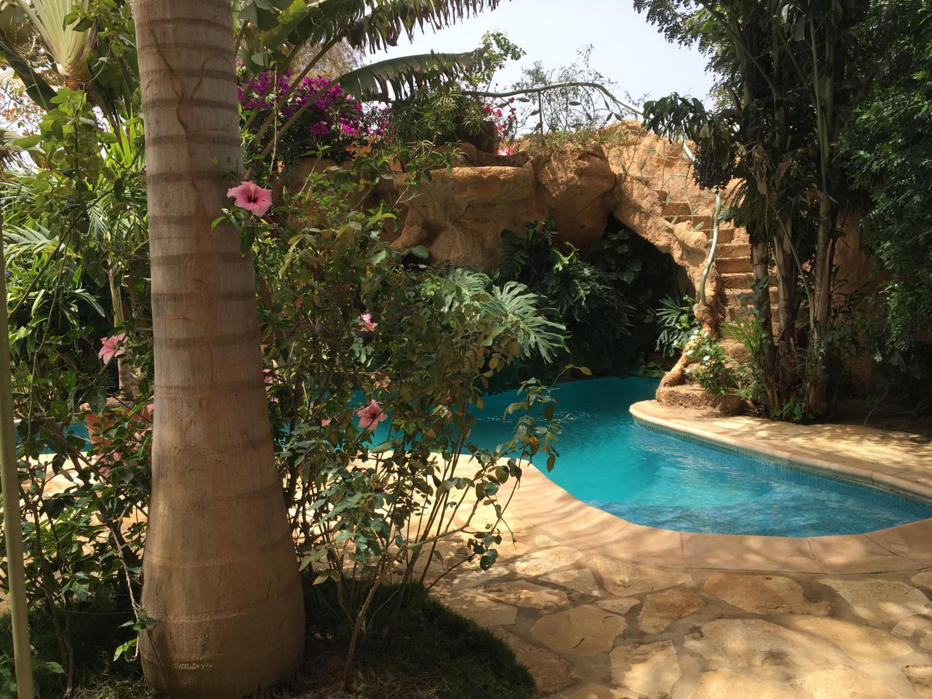 tropical oasis