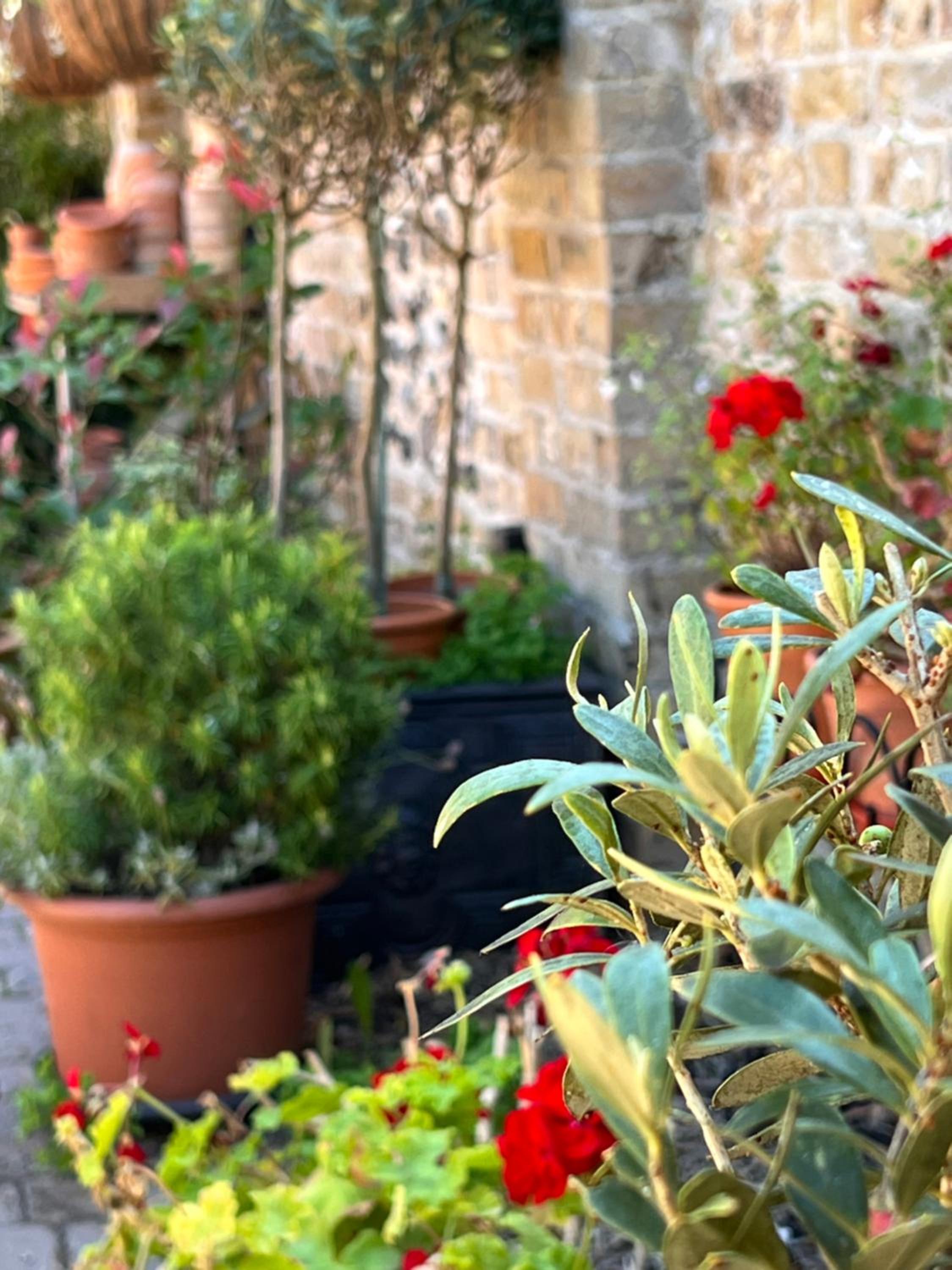 Ramsgate Vacations - The Royal Harbour Hotel - Property Image 22