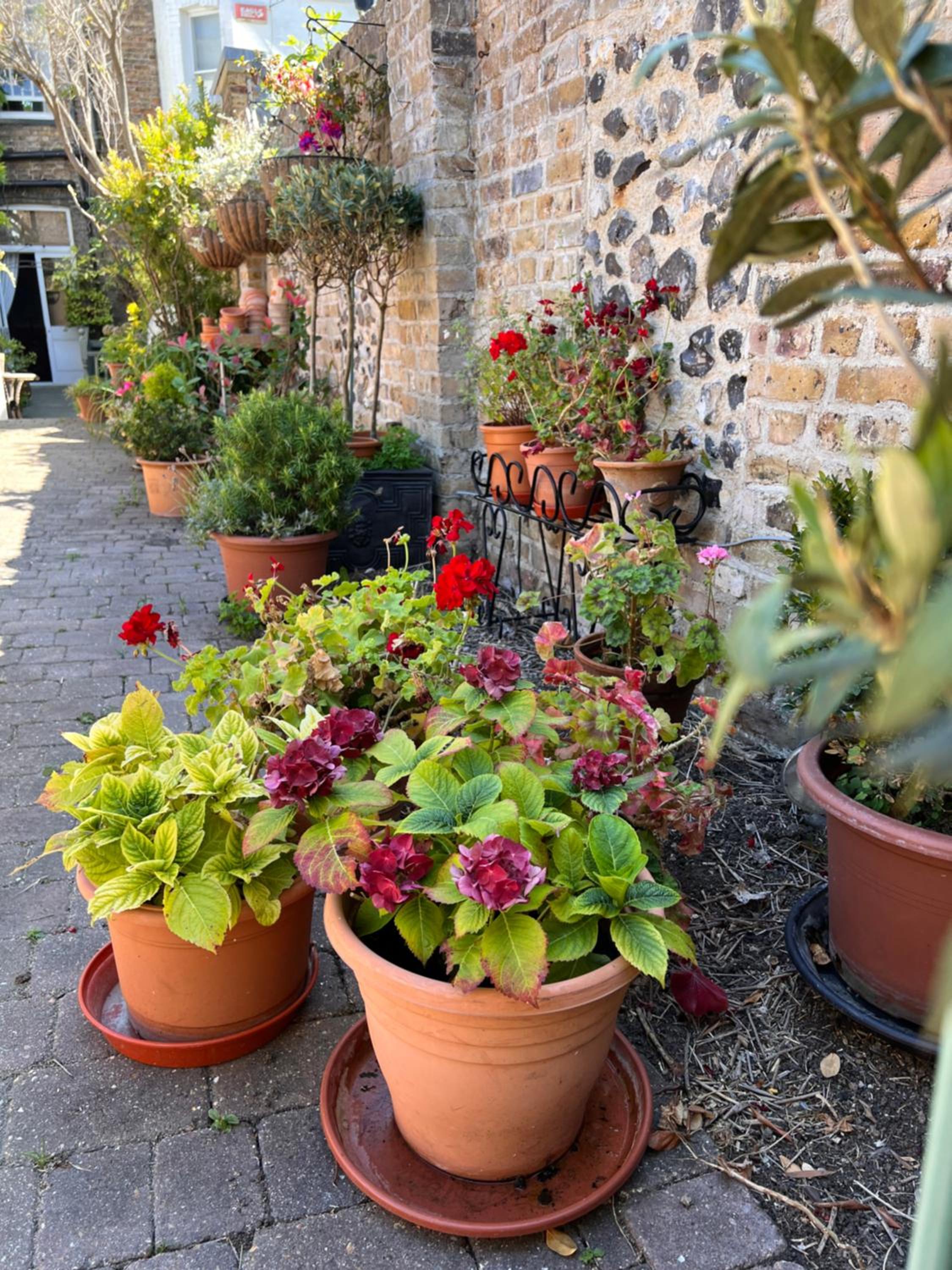 Ramsgate Vacations - The Royal Harbour Hotel - Property Image 25