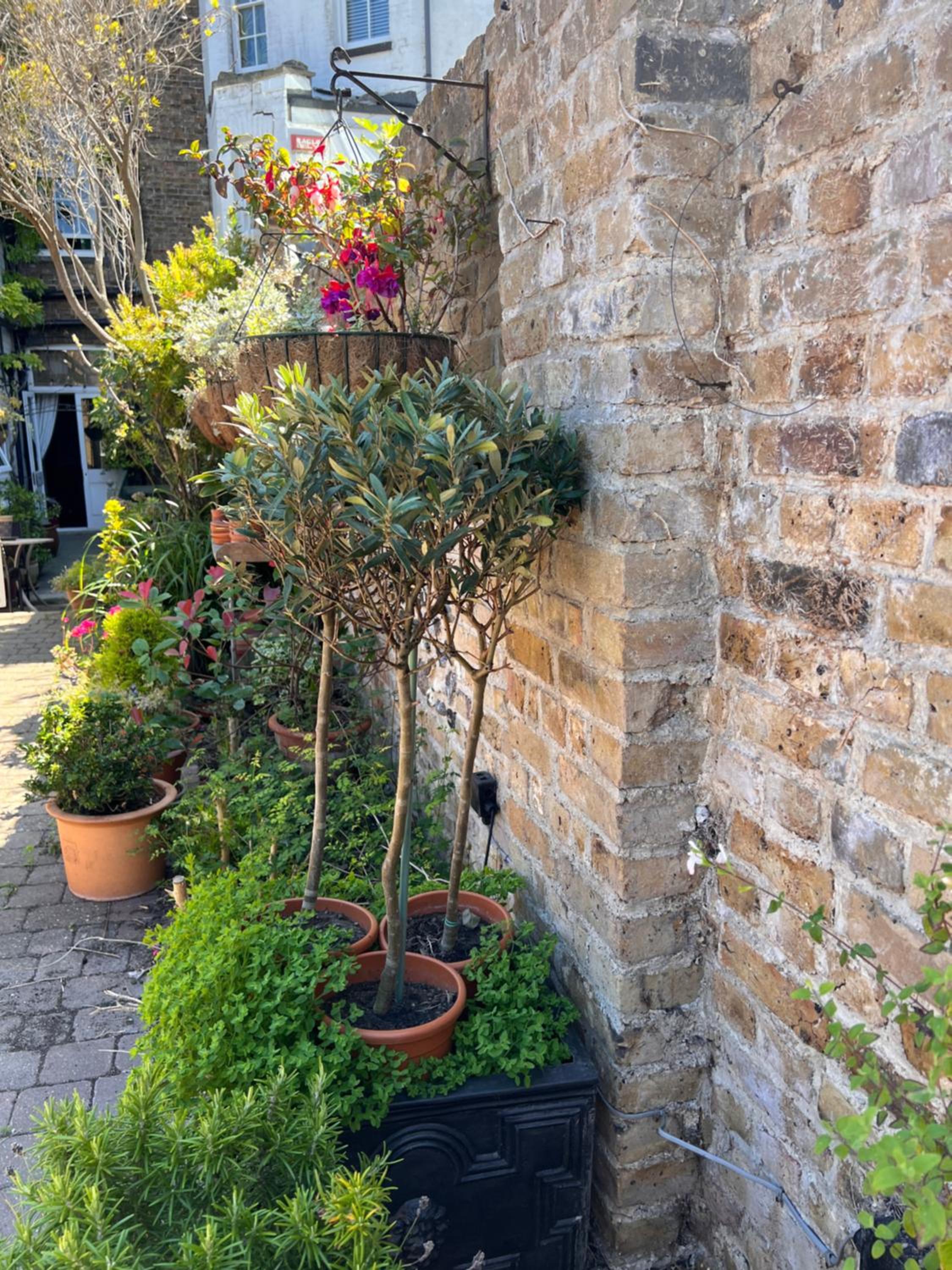 Ramsgate Vacations - The Royal Harbour Hotel - Property Image 30