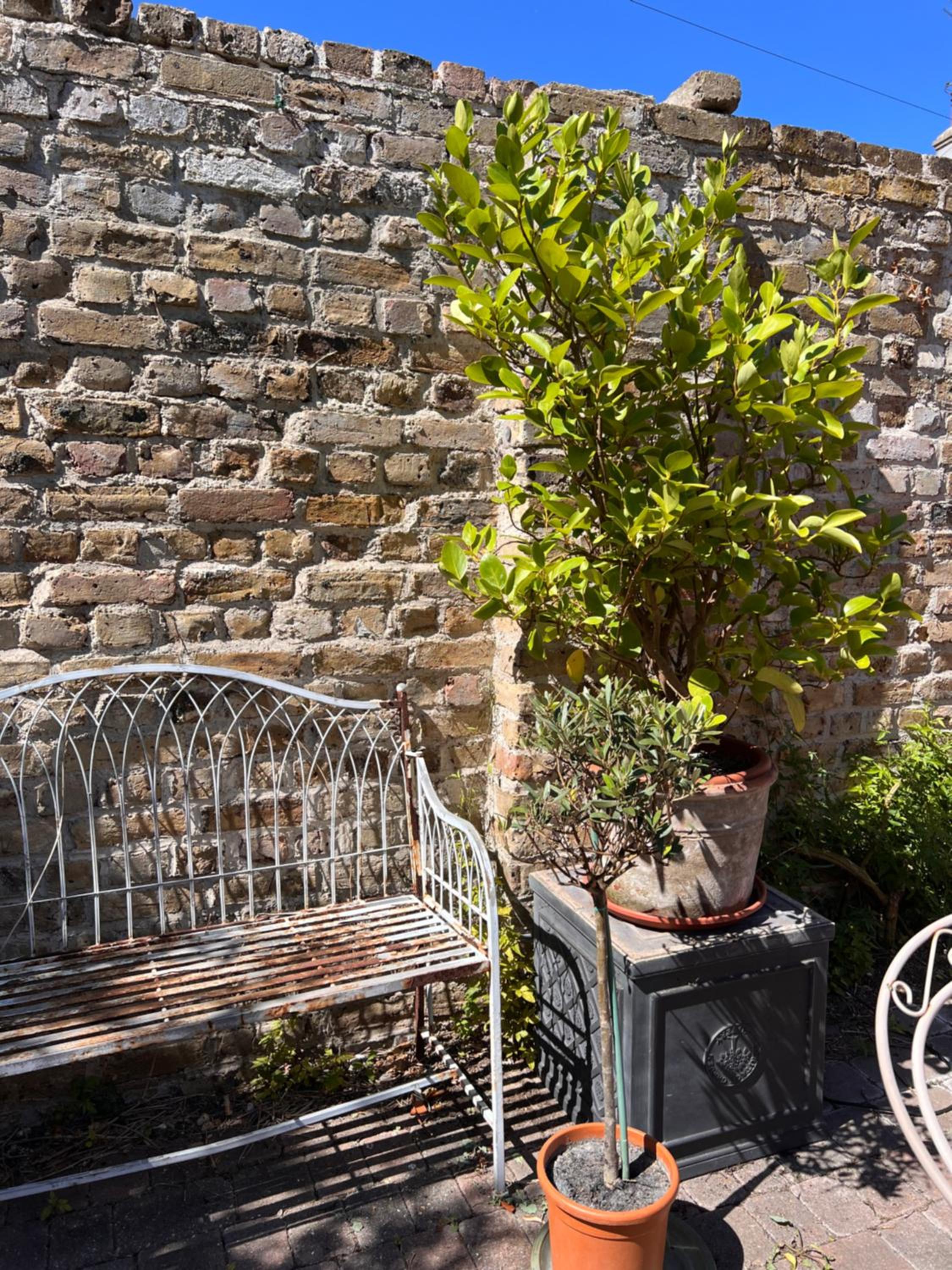 Ramsgate Vacations - The Royal Harbour Hotel - Property Image 27