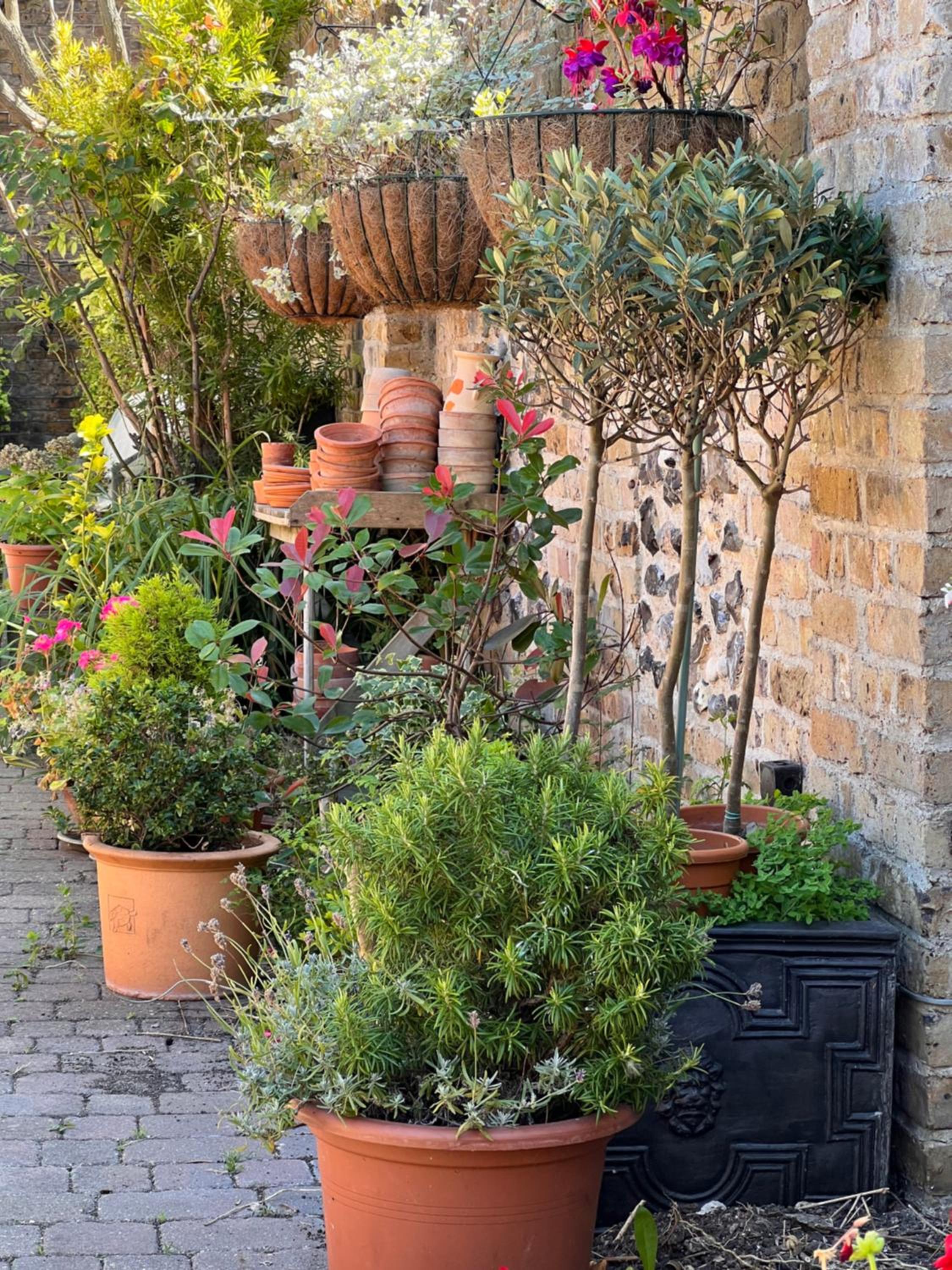 Ramsgate Vacations - The Royal Harbour Hotel - Property Image 26