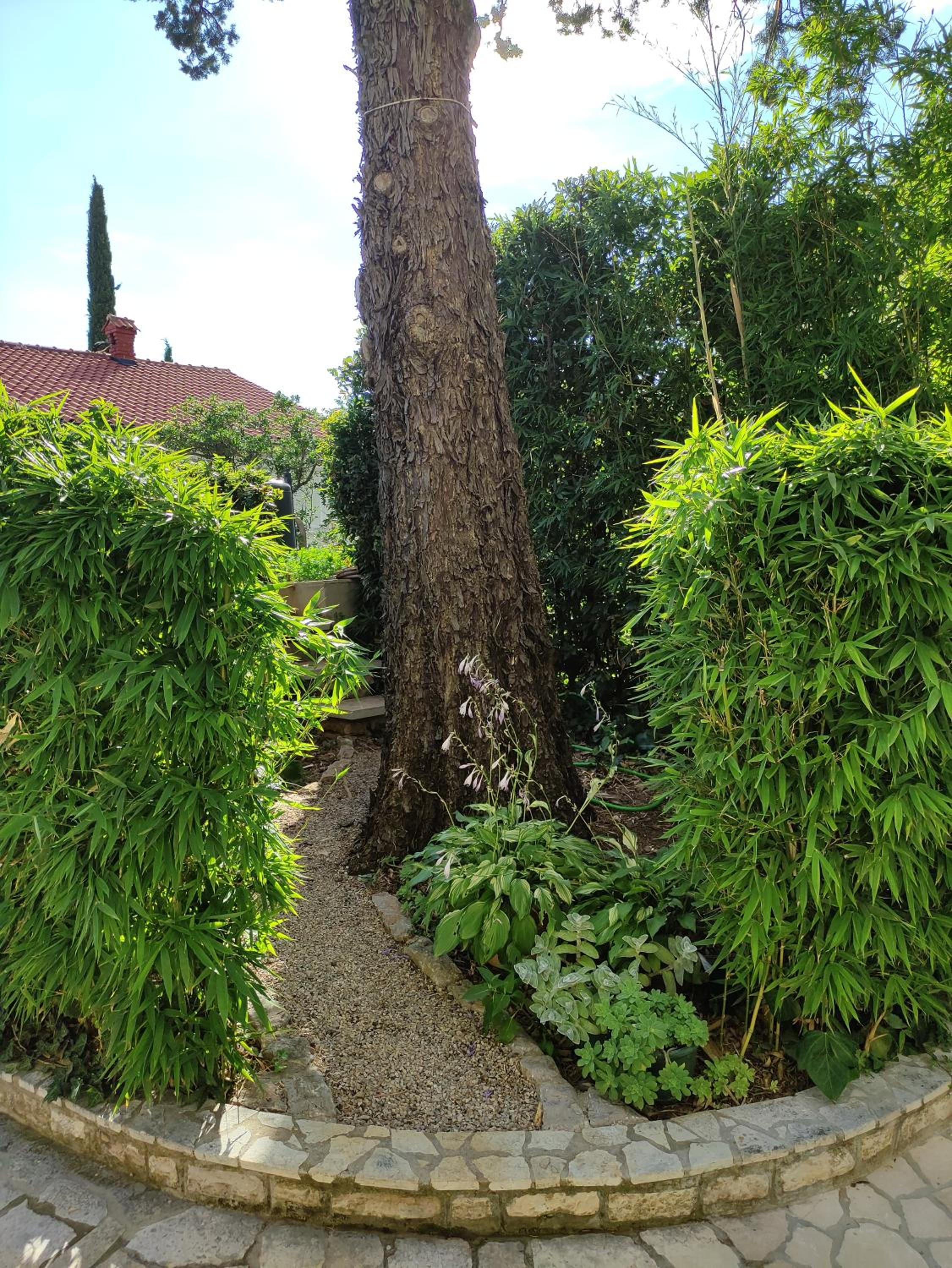 Photo 28