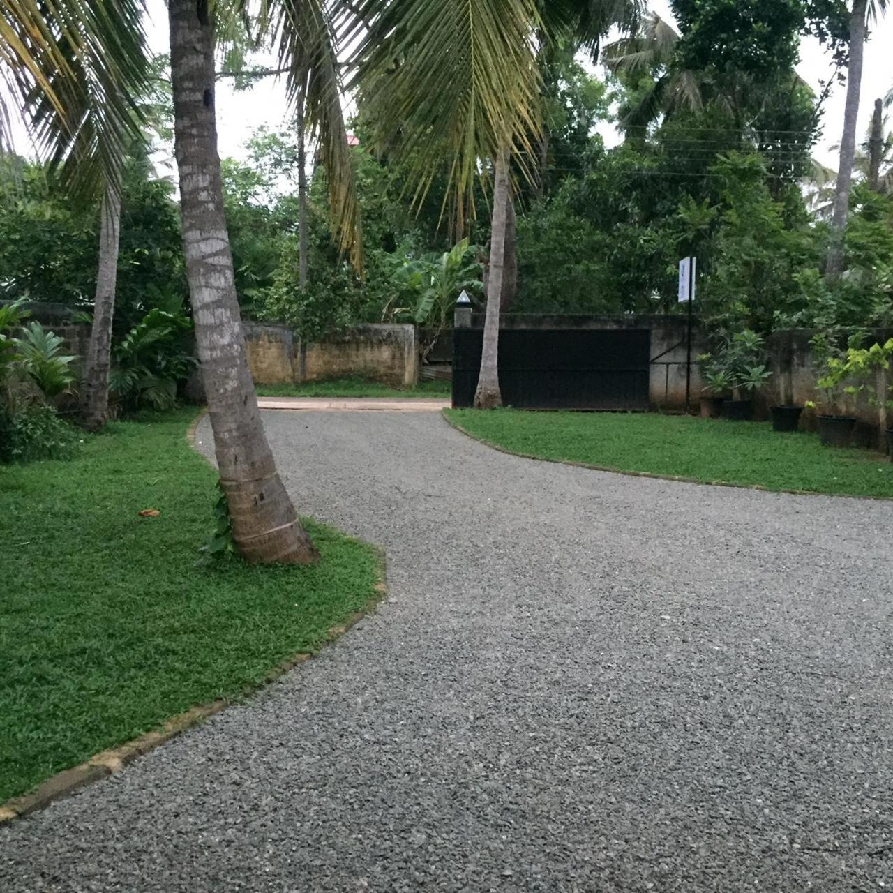 Photo 19