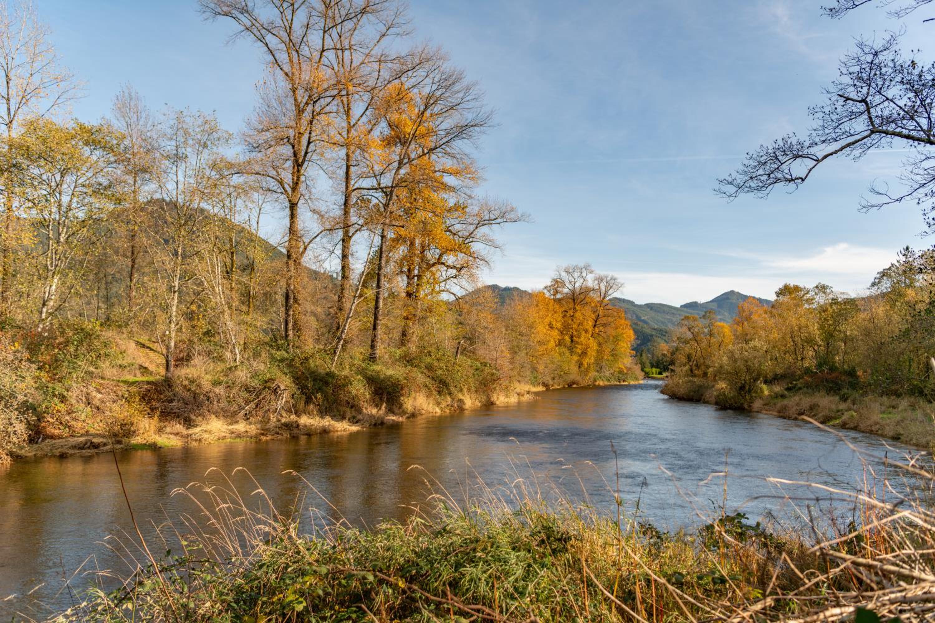 New Riverfront Luxury with acreage and great views view 4