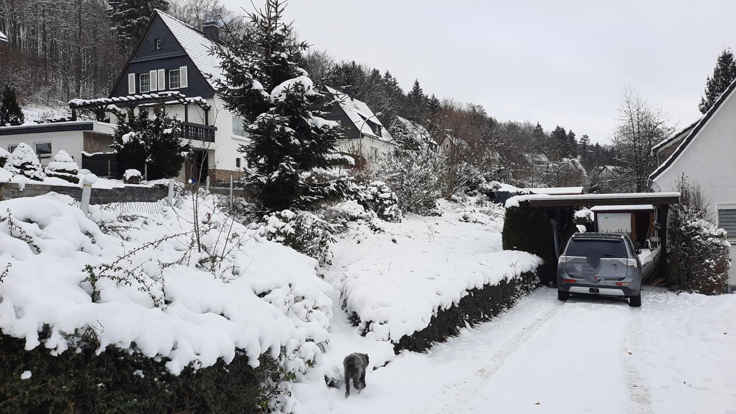 YALET Ferienhaus 2 appartementen vlakbij Willingen
