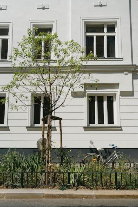 Homey APT 5 min to Belvedere