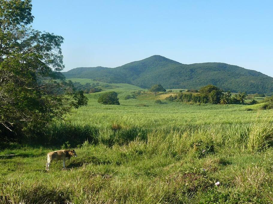 Photo 26