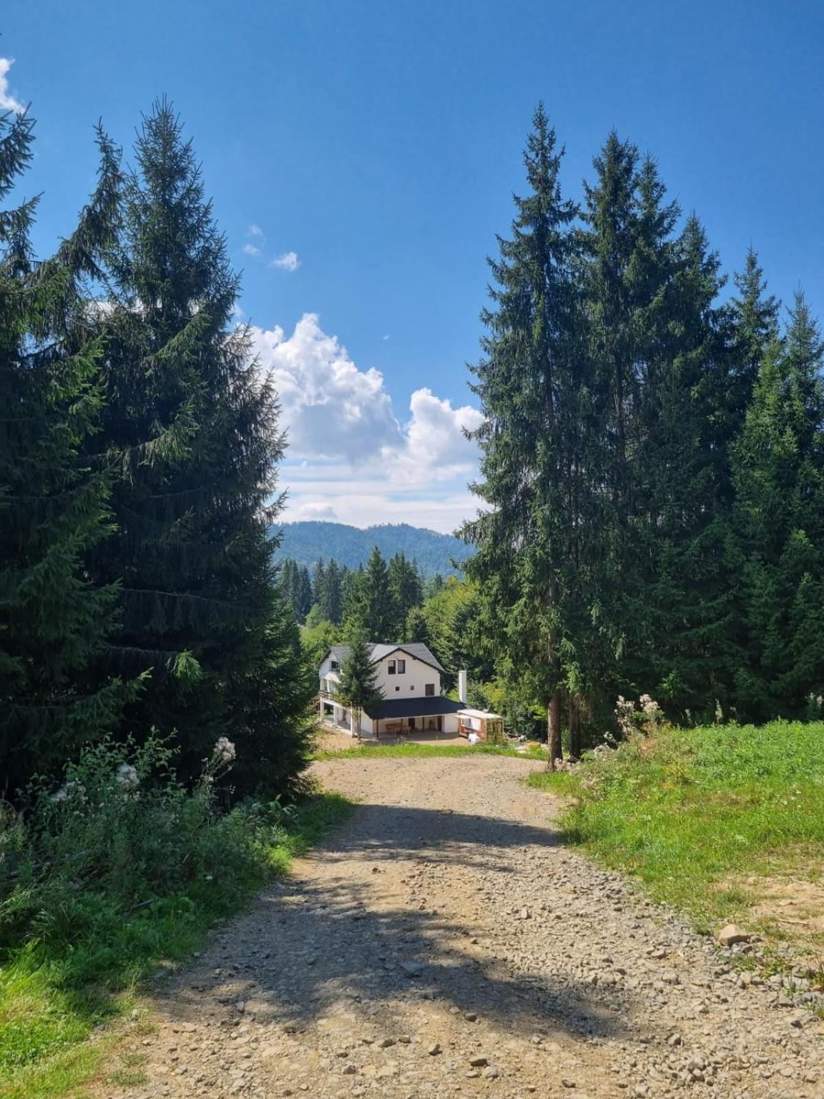 Cabana de închiriat la Colibița Straciorul