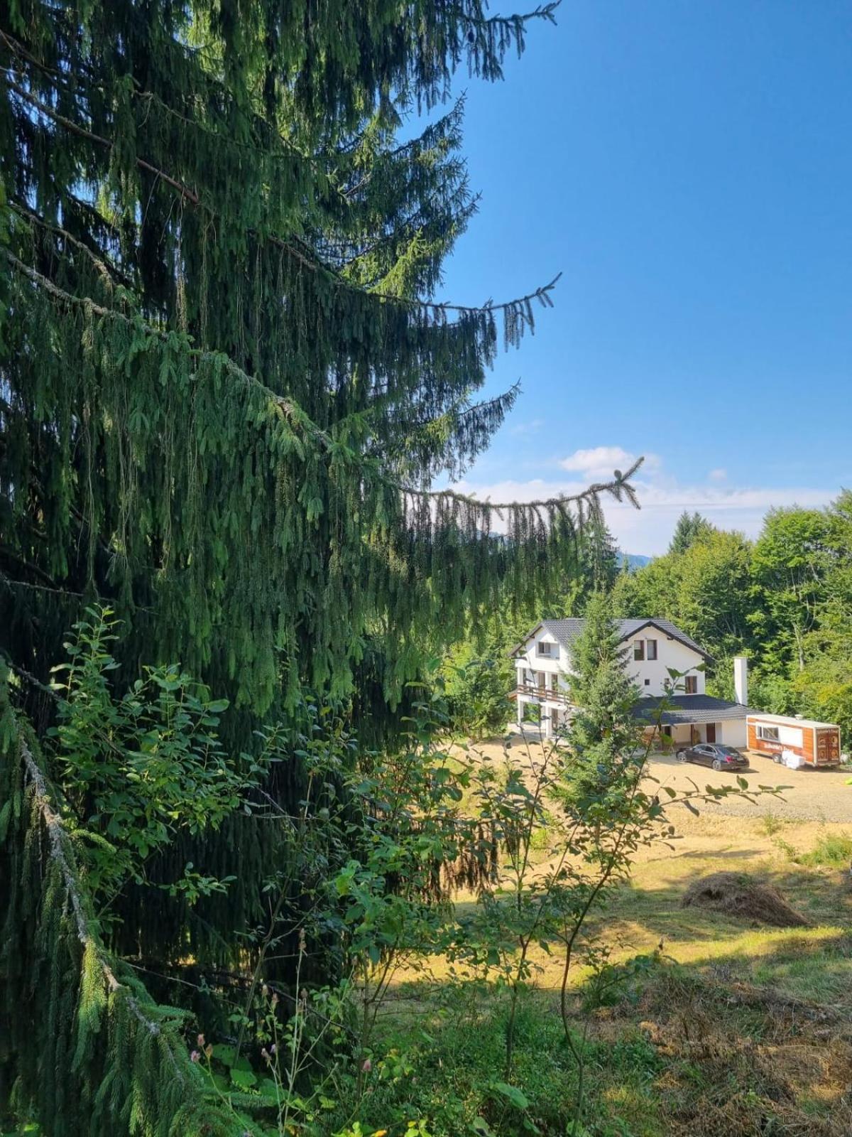 Cabana de închiriat la Colibița Straciorul