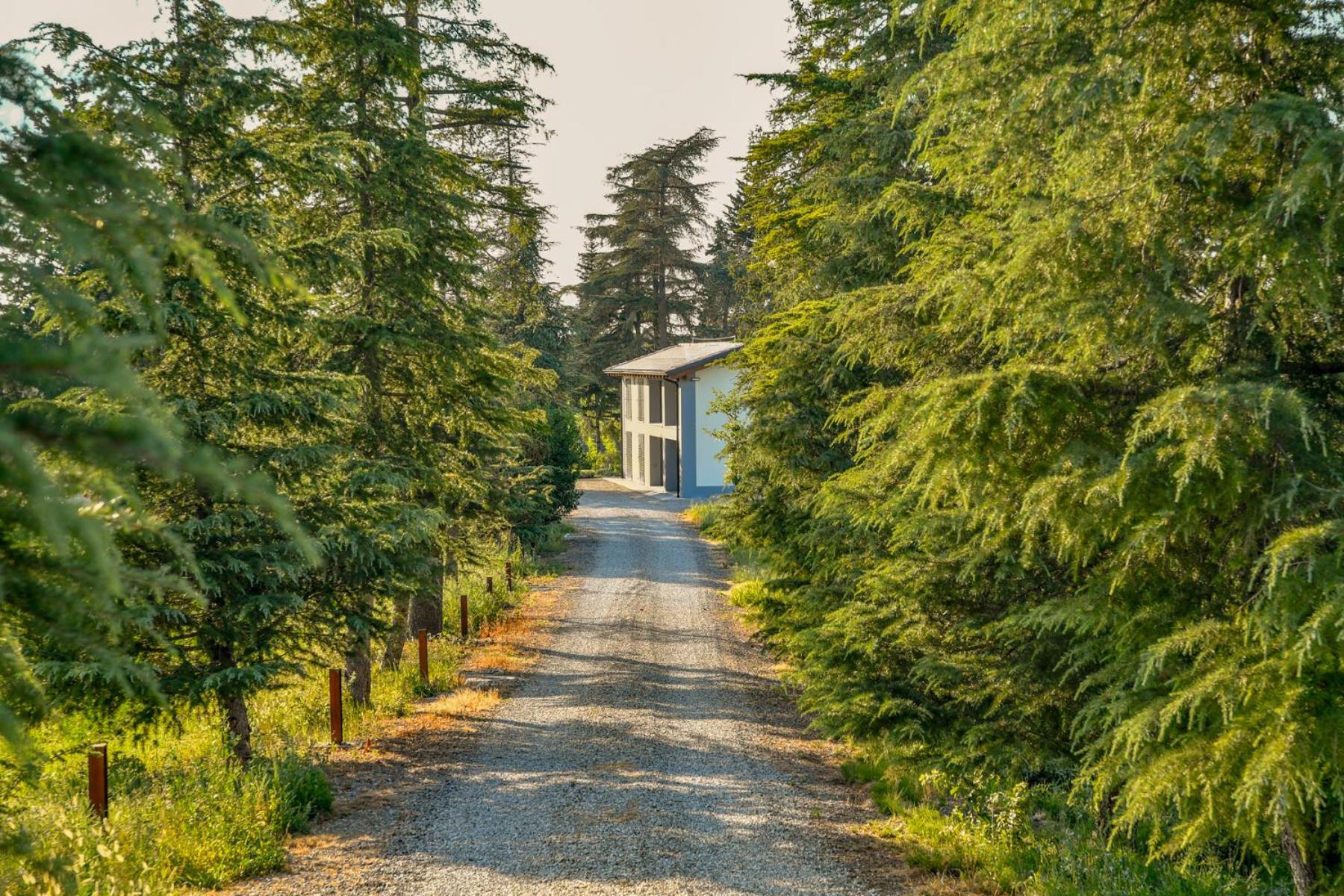 Tenuta Cà Bassa