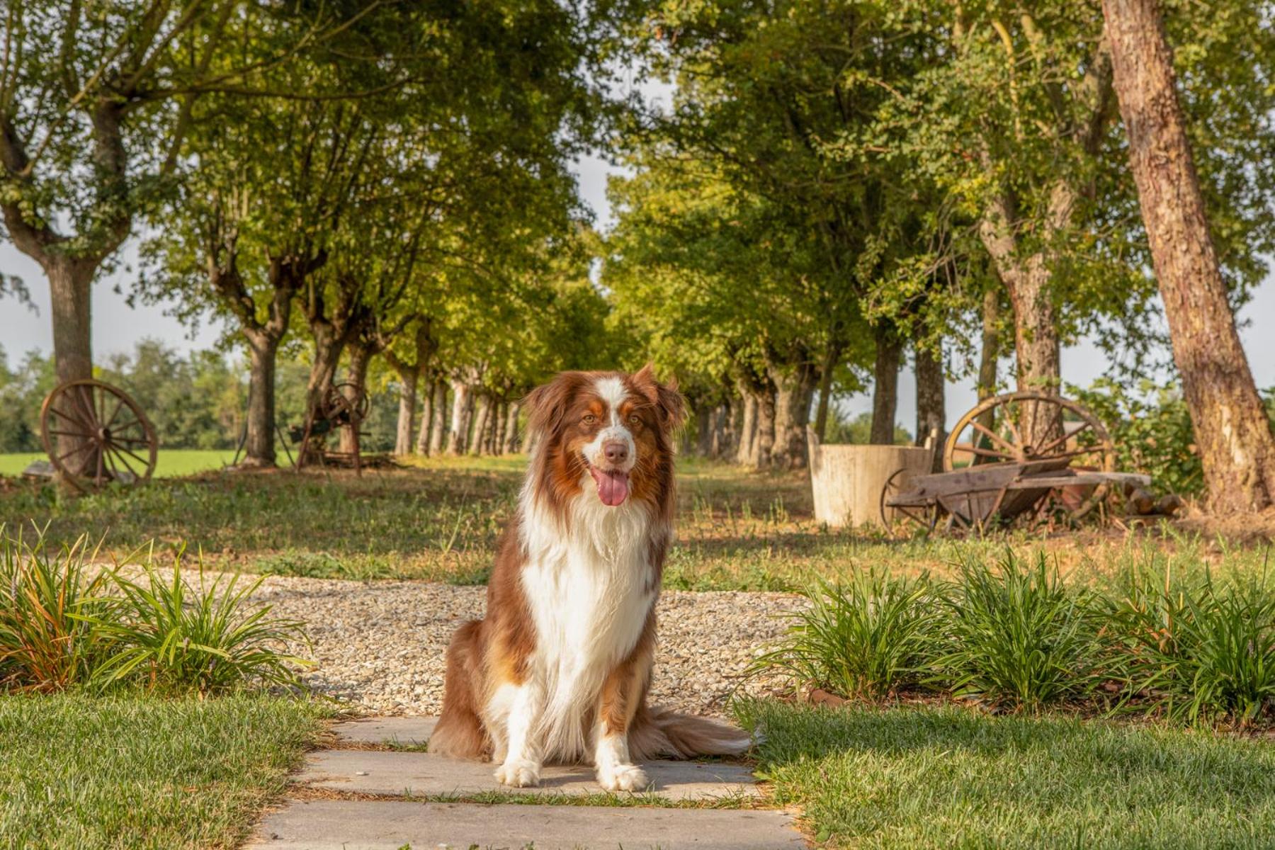Tenuta Cà Bassa