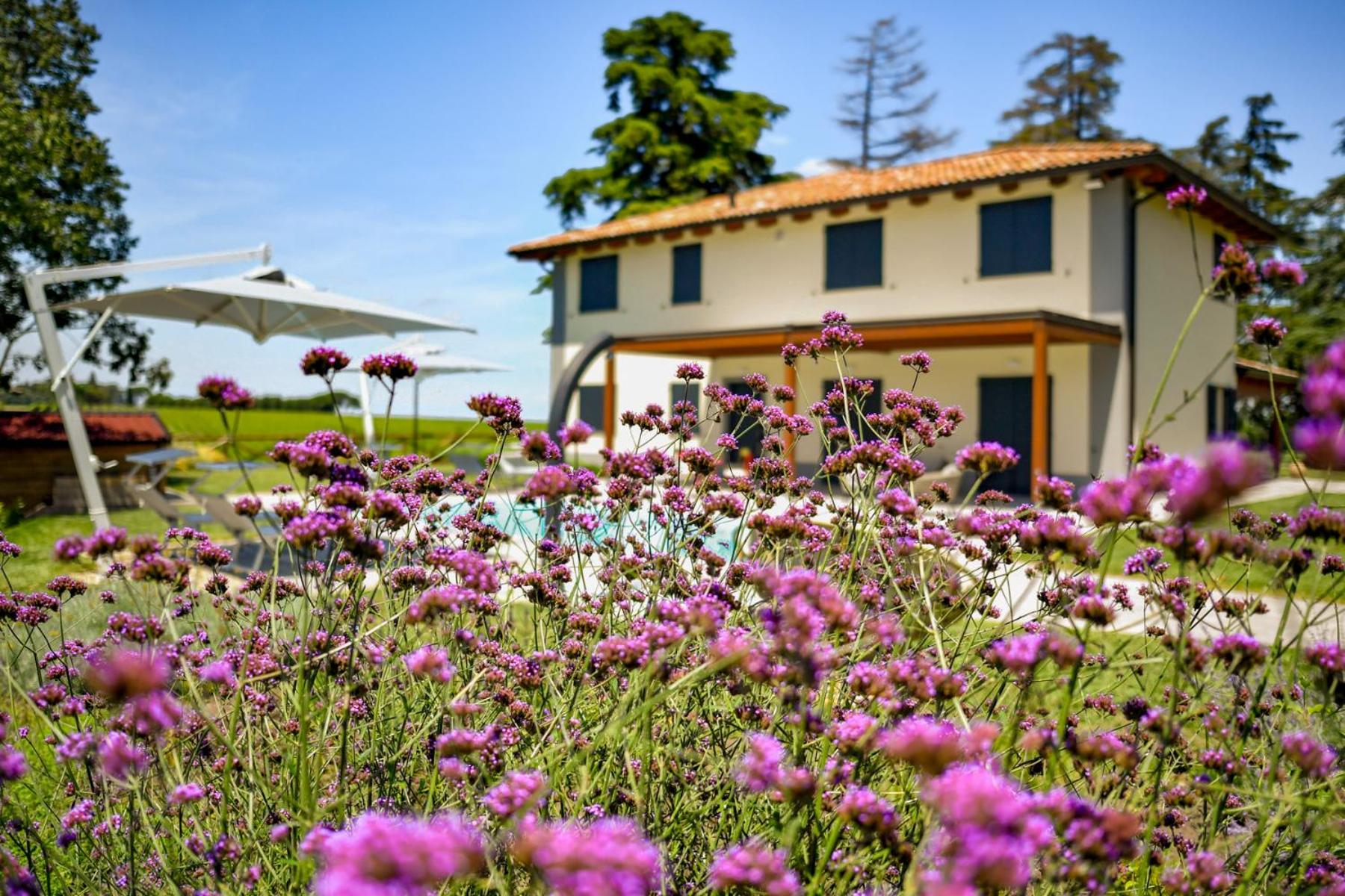 Tenuta Cà Bassa