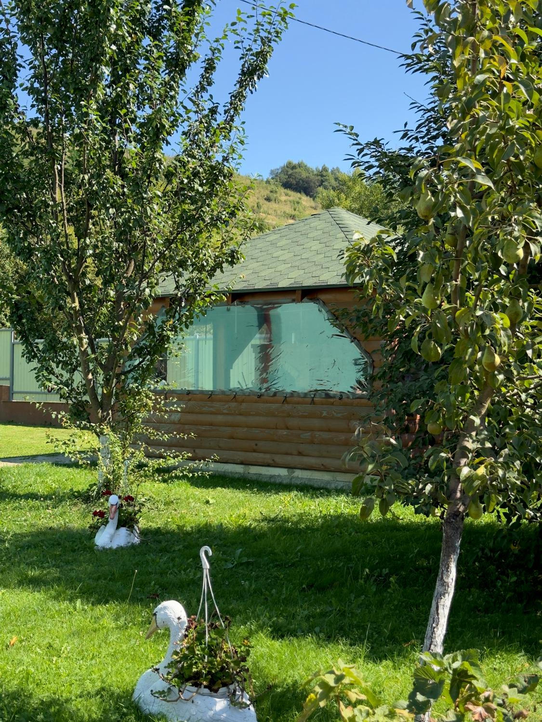 Photo 20