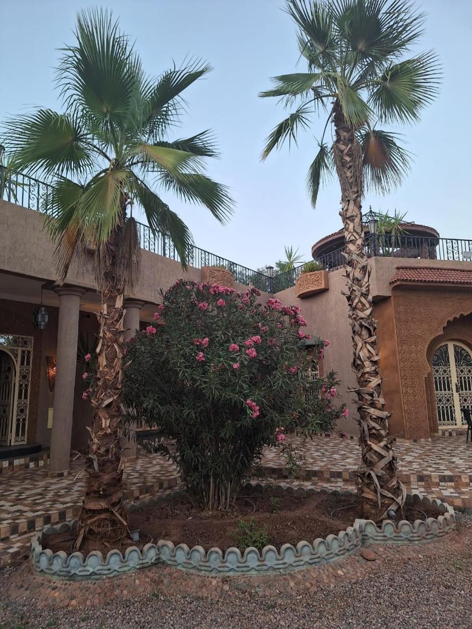 Eden Suite