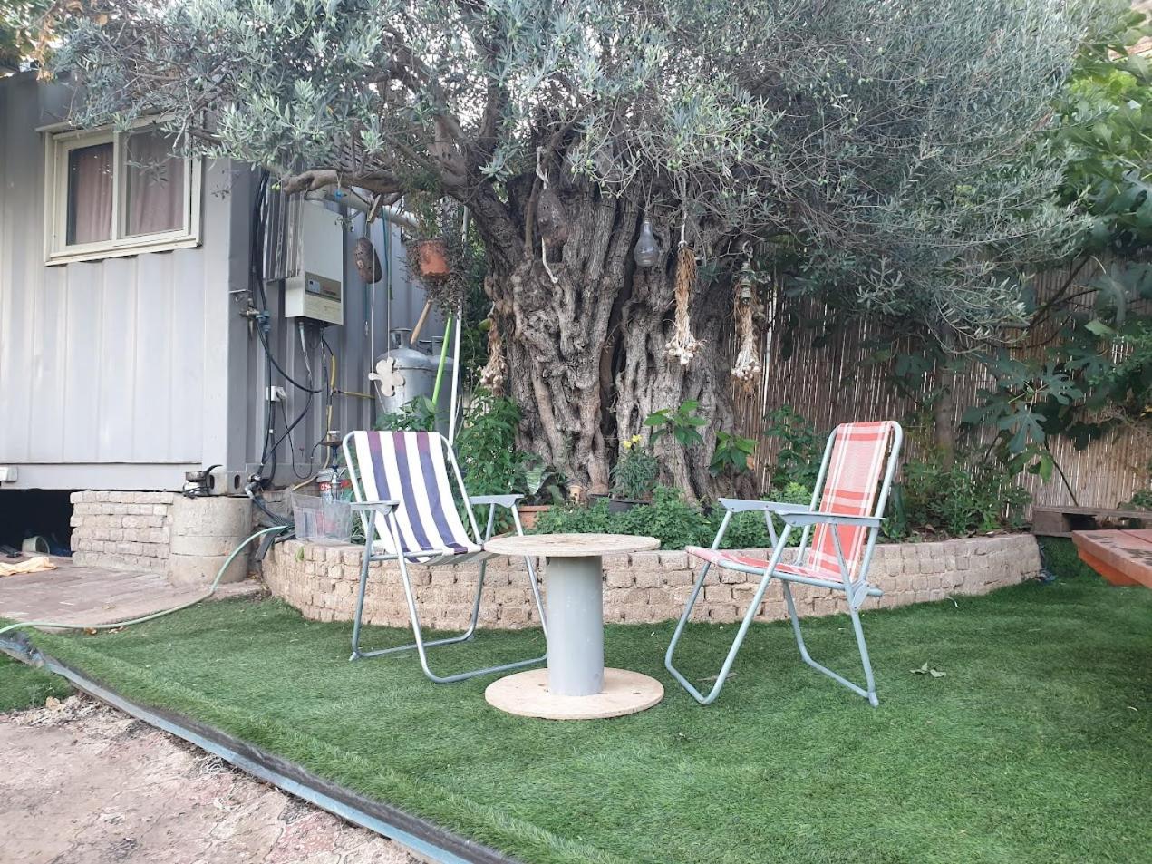 Olive tiny house 1 view 3