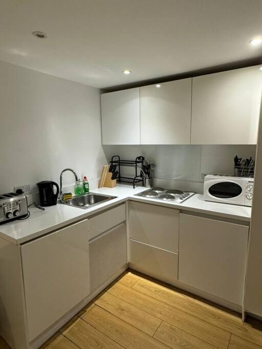 Piccadilly Living 1 BR Flat in London VR11