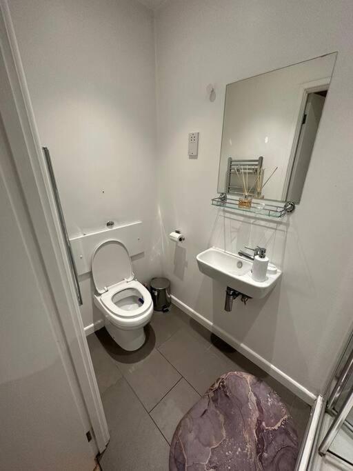 Piccadilly Living 1 BR Flat in London VR11