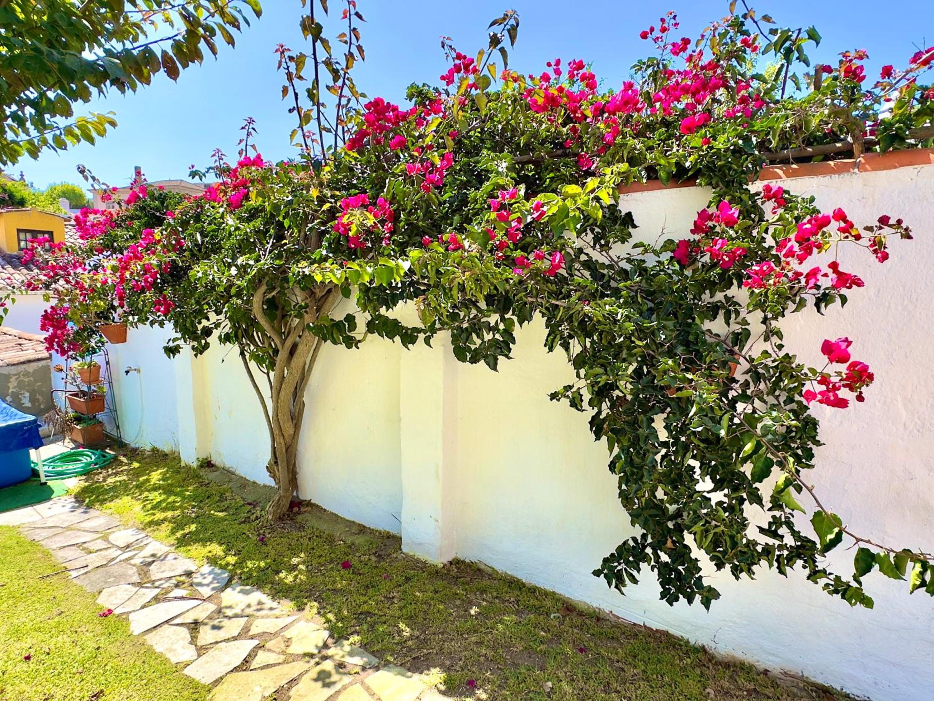 Casa do Candeeiro — photo 2