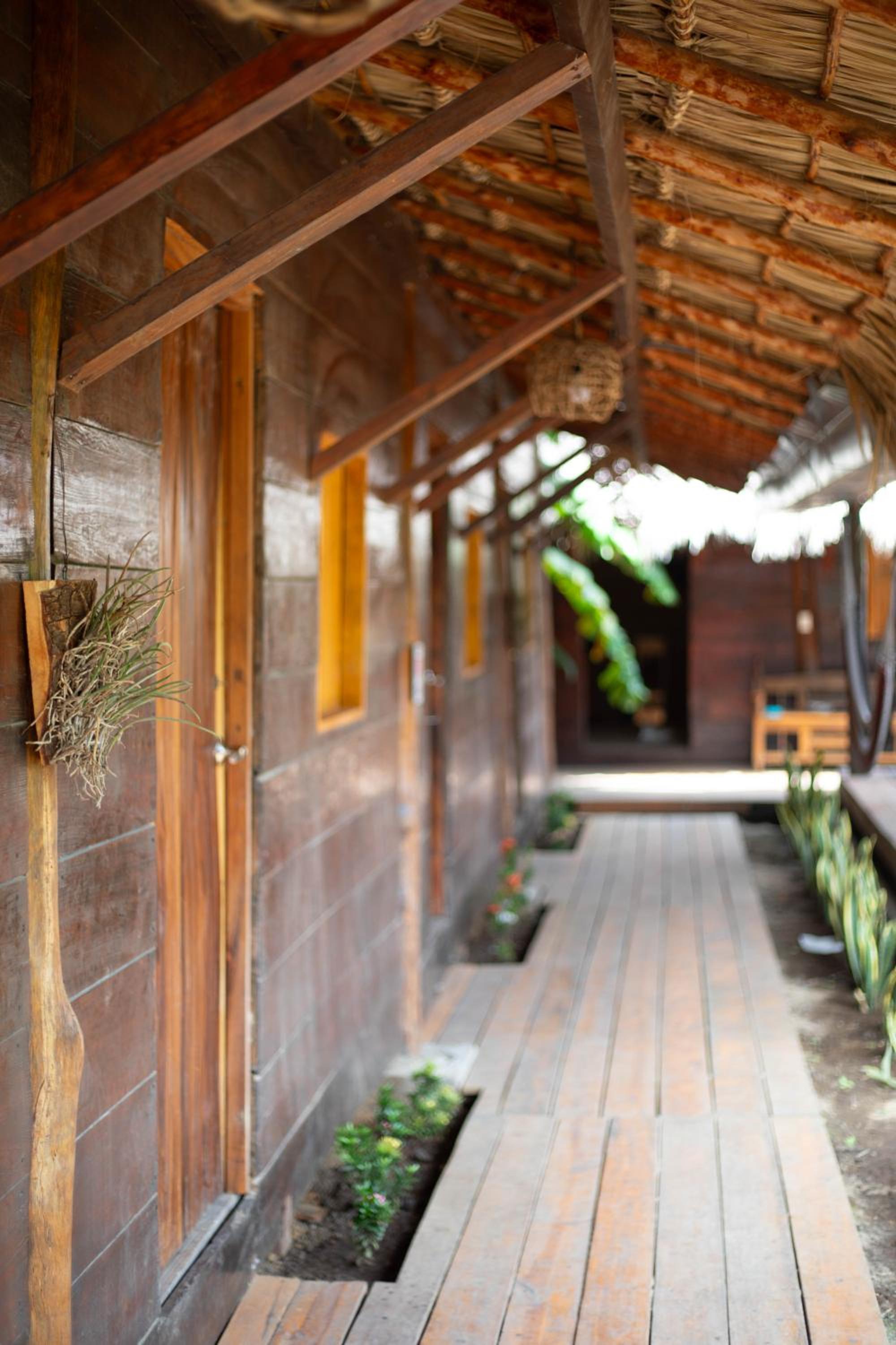 Casa Bambucha Hostel view 3