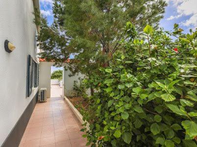 Porto Santo Vacations - Casa Bambi - Property Image 8